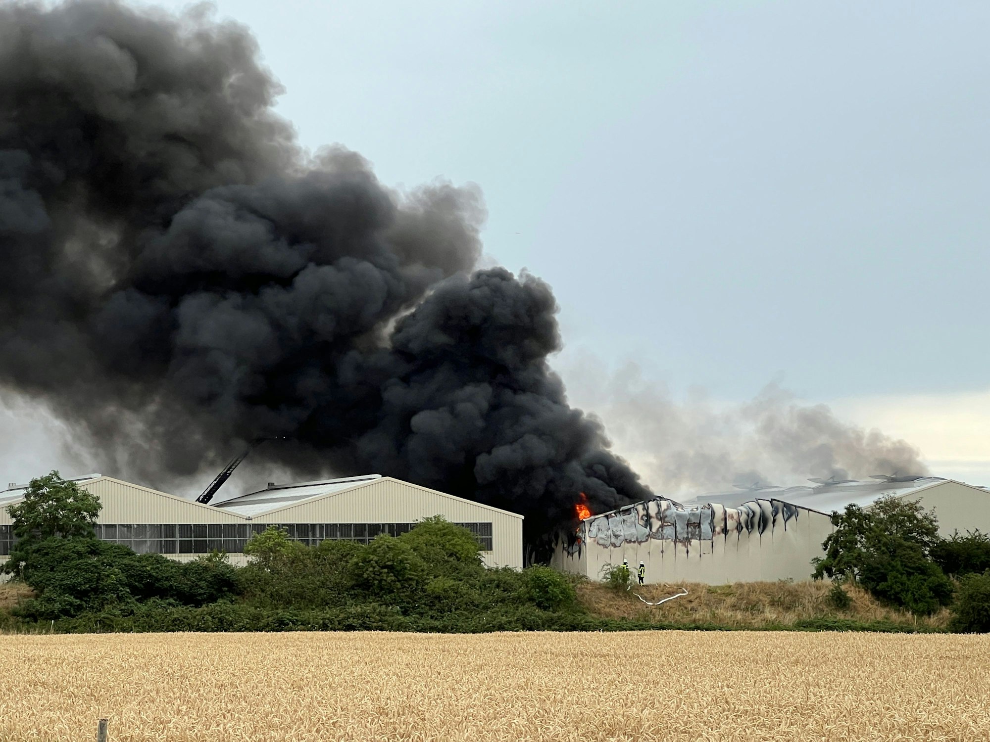 Eine dunkle Rauchwolke ist bei einem Brand in einem Entsorgungsbetrieb in Swisttal zu sehen. Das Bundesamt für Bevölkerungsschutz und Katastrophenhilfe warnte am Morgen vor möglichen gesundheitlichen Schäden. Die Anwohner im Bereich Swisttal-Ollheim sollten Fenster und Türen geschlossen halten.