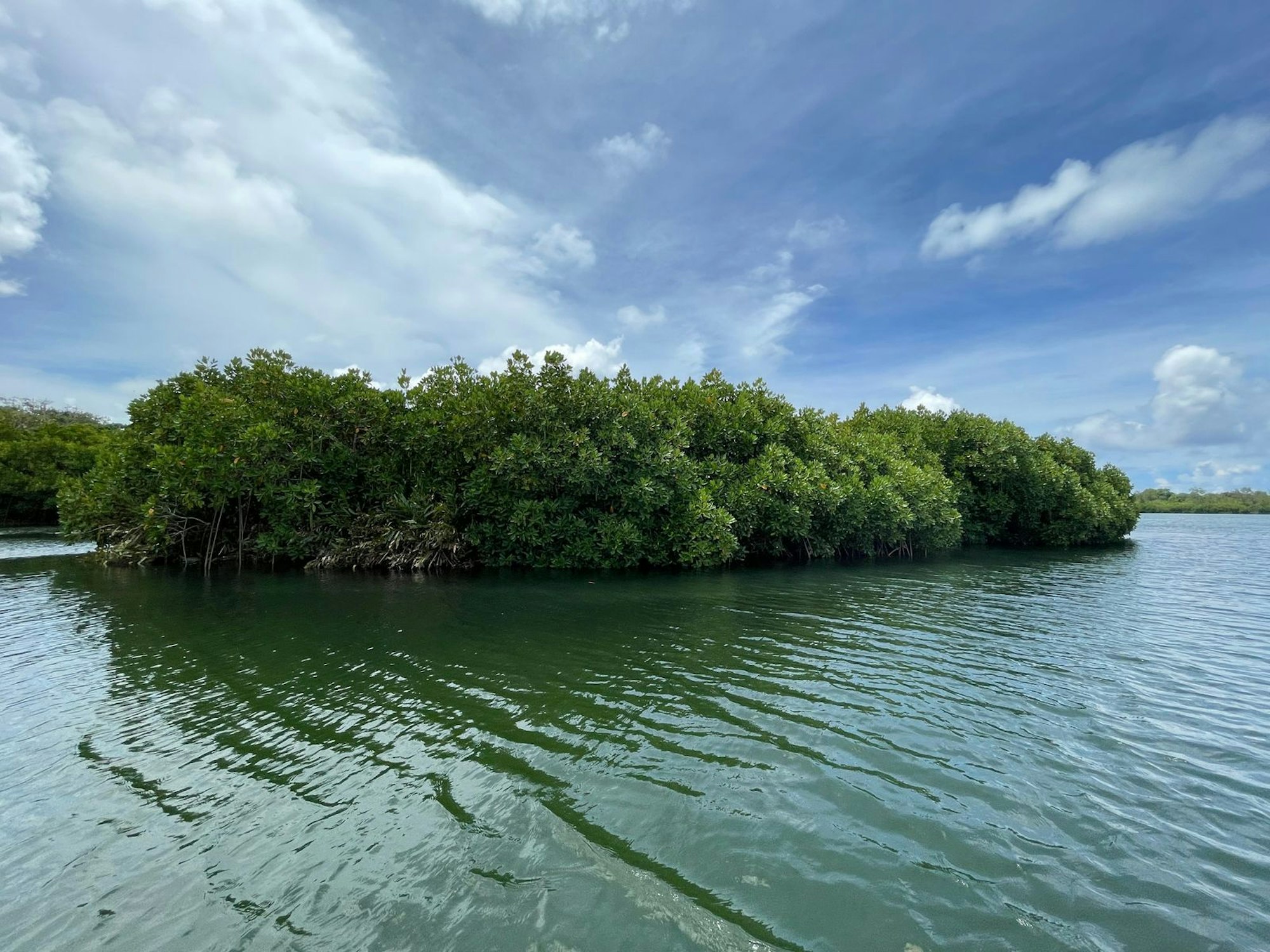 Auf einer kleinen Mangroveninsel im Nordosten der Insel Mauritius soll nach Daniel Kriegs Ansicht der Schatz des Piraten La Buse vergraben worden sein. (Bild: ZDF/Tilman Remme)