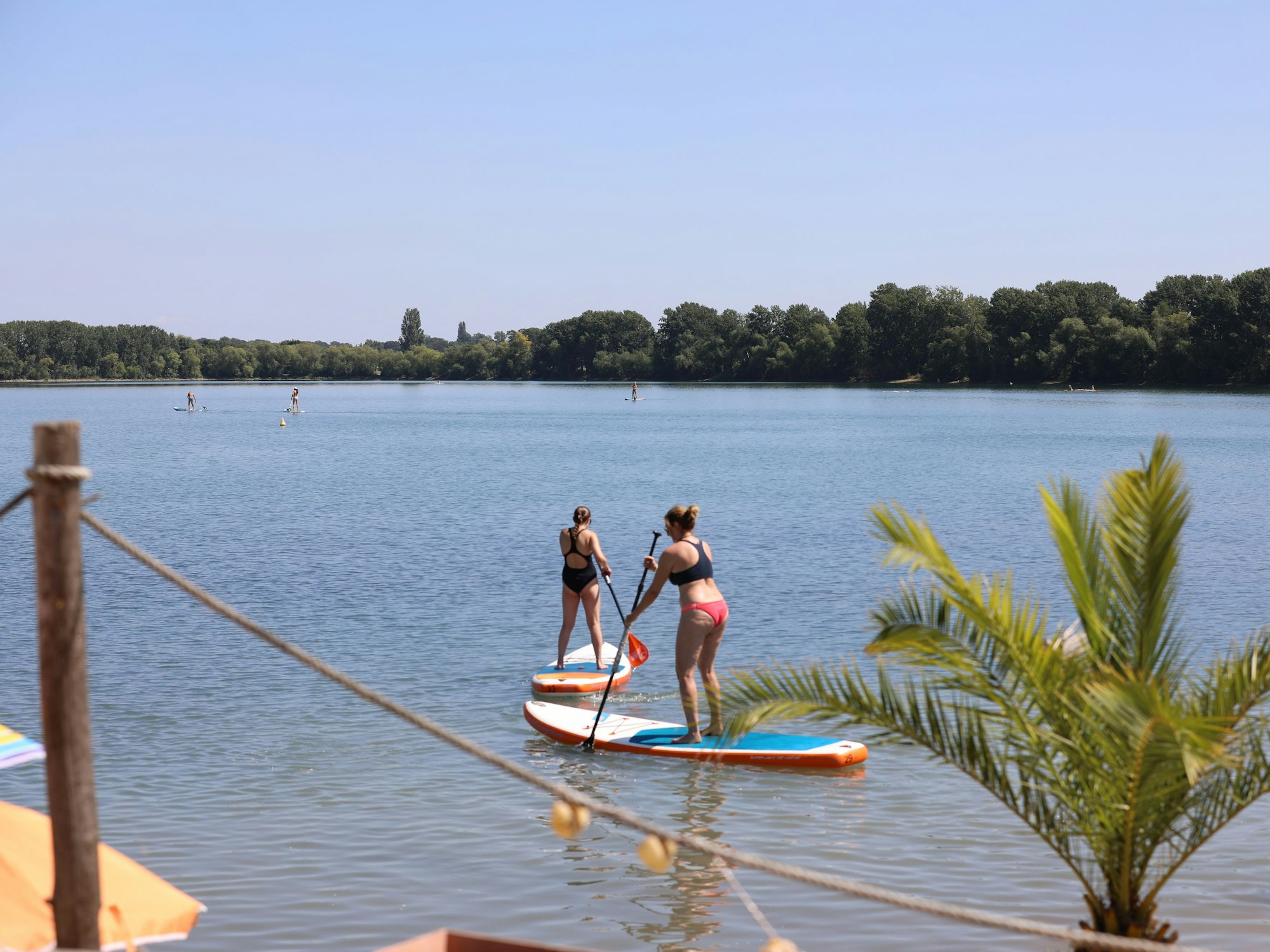 Frauen stehen auf zwei SUPs auf einem Badesee und rudern