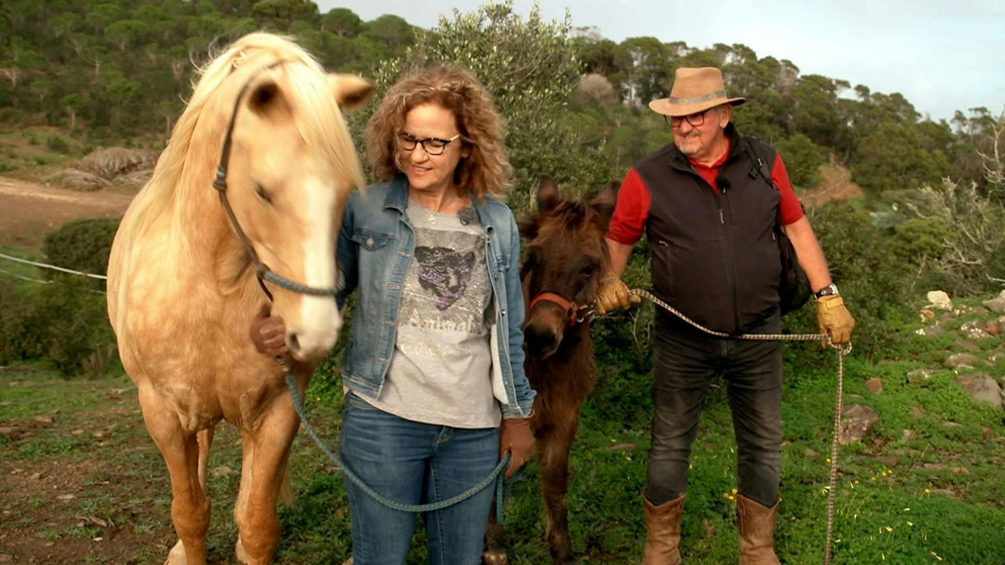 „Andere Vorstellungen von einer gemeinsamen Zukunft“: Anna und Olaf. (Bild: RTL)