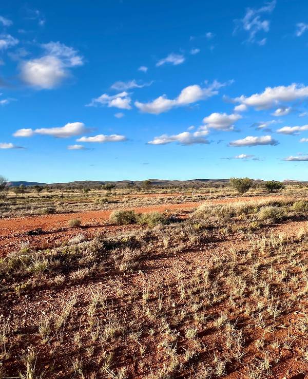 Blick auf das Outback im Roten Zentrum von Australien, aufgenommen nahe der Ortschaft Tywenpe im Northern Territory.