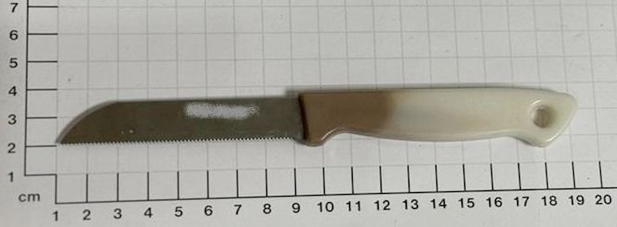 Bundespolizei beschlagnahmt am Hauptbahnhof Essen und Dortmund mehrere Messer.