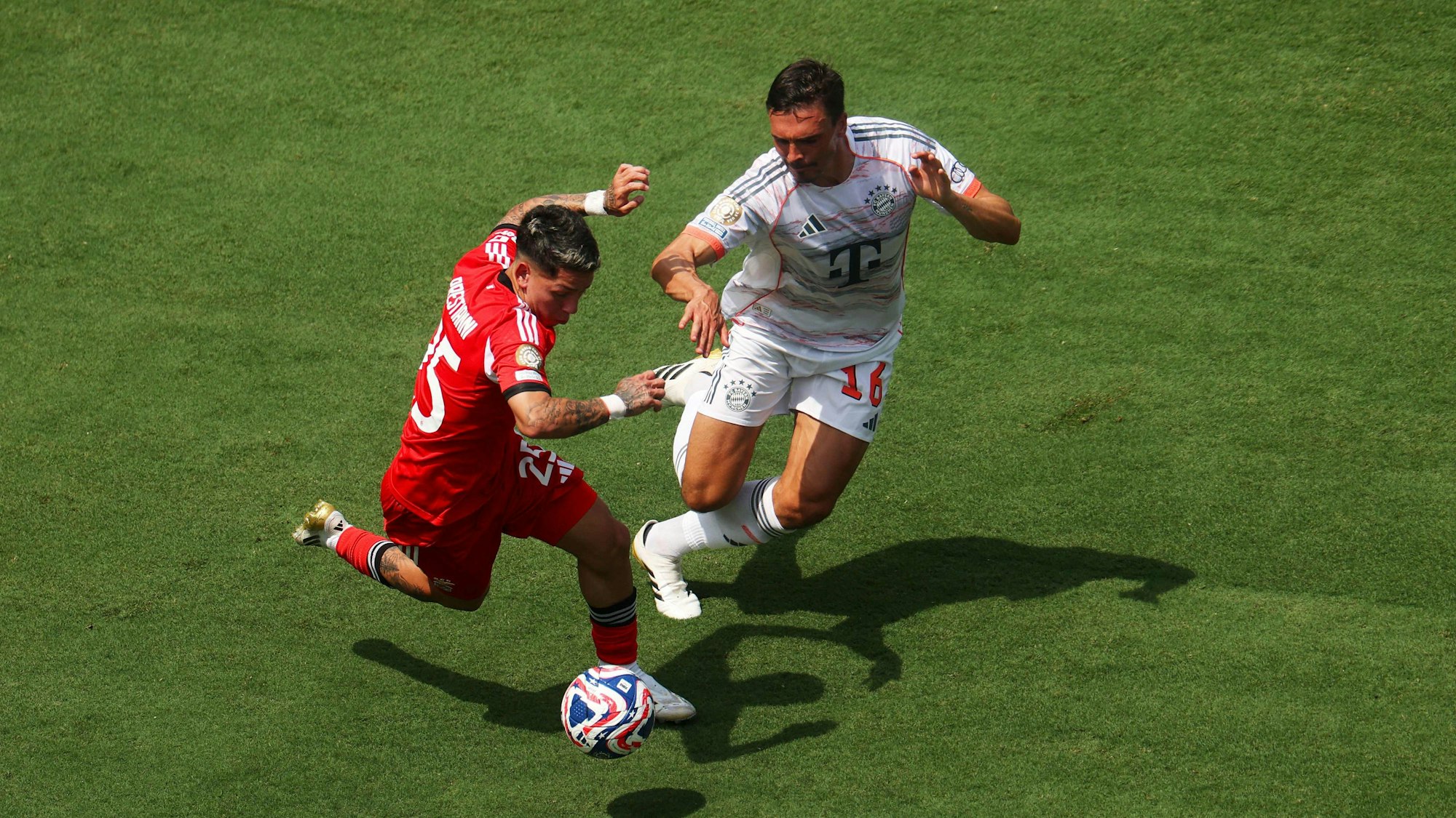 Joao Palhinha beim Bayern-Spiel gegen Benfica.