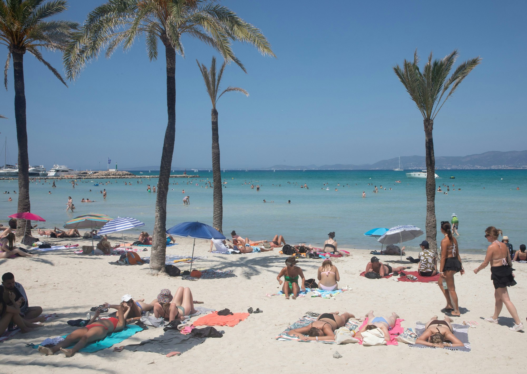 Menschen schwimmen und sonnen sich am Strand von Arenal auf Mallorca. +++ dpa-Bildfunk +++