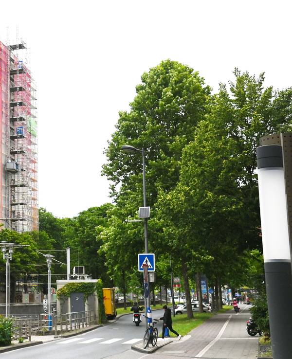 GAG-Gebäude im Bau an der Sechtemer Straße