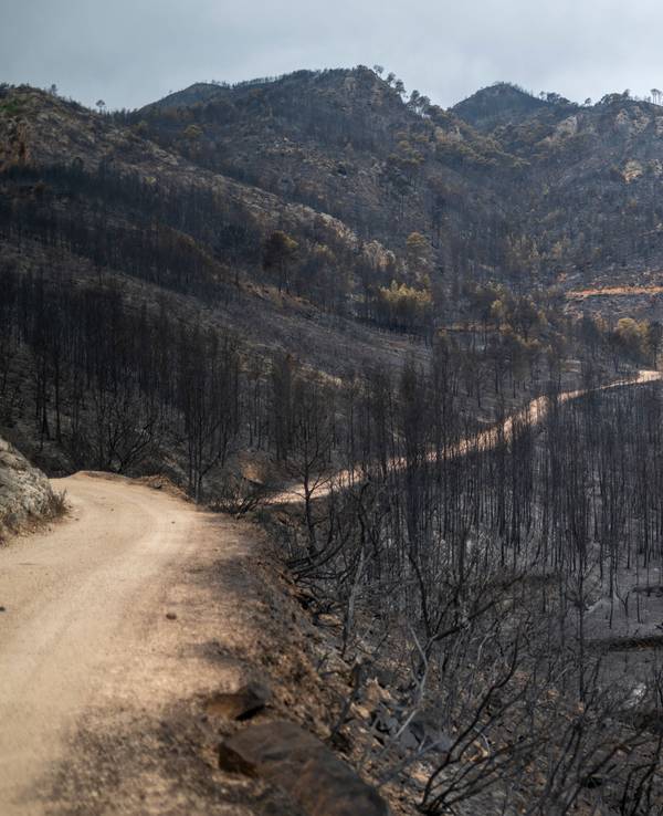 Ein von einem Waldbrand betroffenes Gebiet in Xerta, Tarragona, Katalonien.