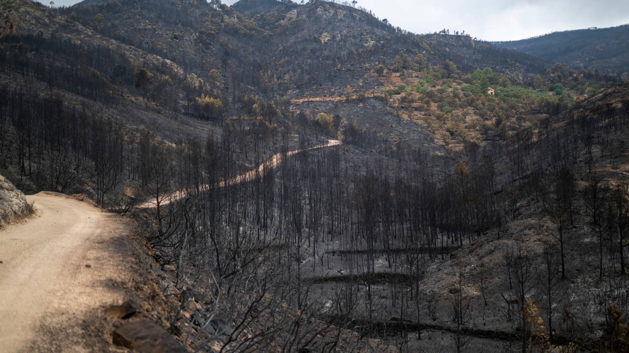 Ein von einem Waldbrand betroffenes Gebiet in Xerta, Tarragona, Katalonien.