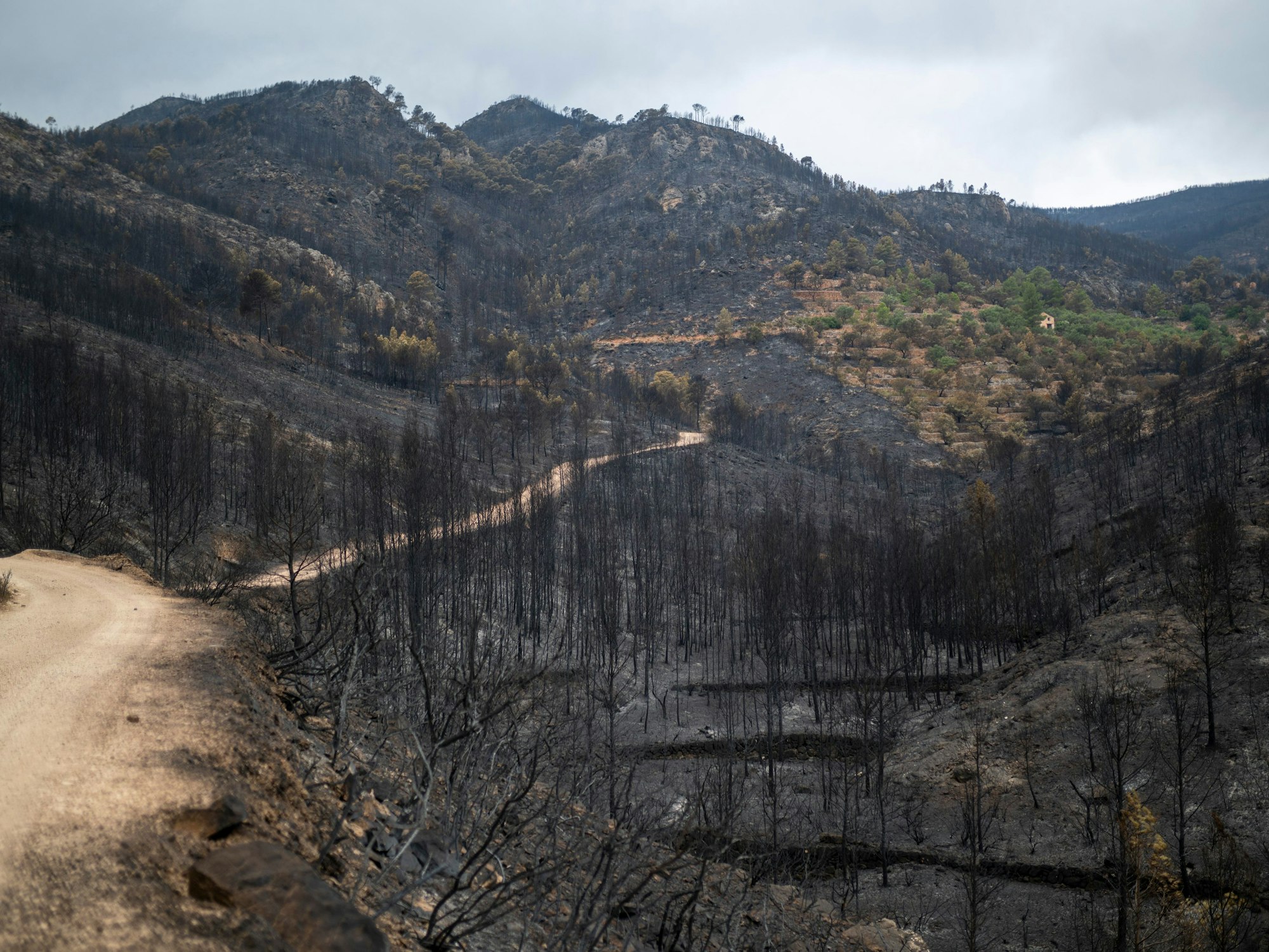 Ein von einem Waldbrand betroffenes Gebiet in Xerta, Tarragona, Katalonien.