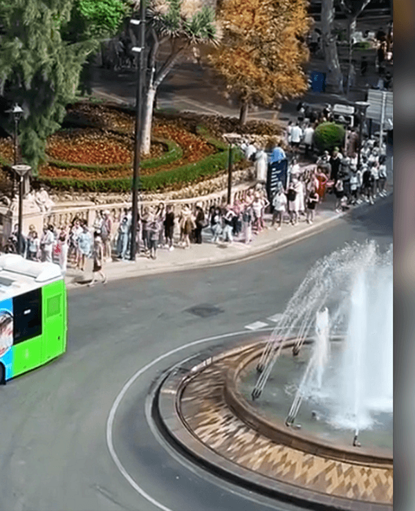 Mega-Schlange an der Plaça de la Reina in Palma de Mallorca.