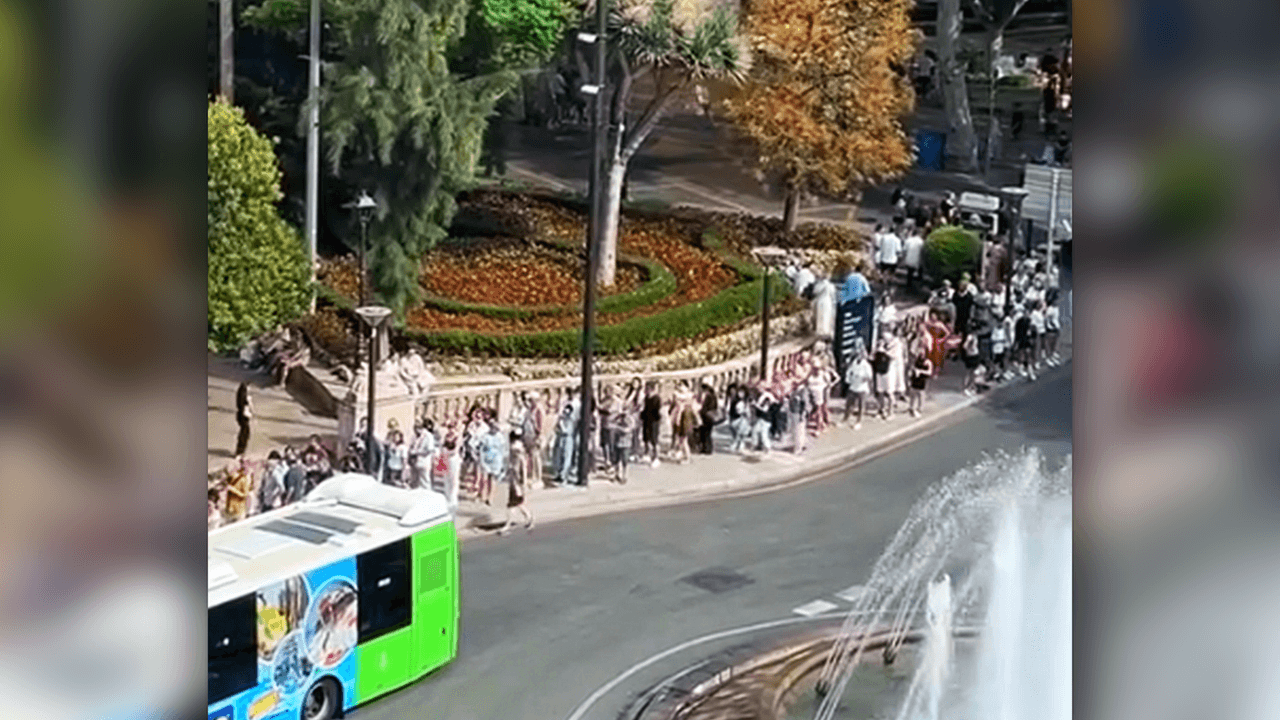 Mega-Schlange an der Plaça de la Reina in Palma de Mallorca.