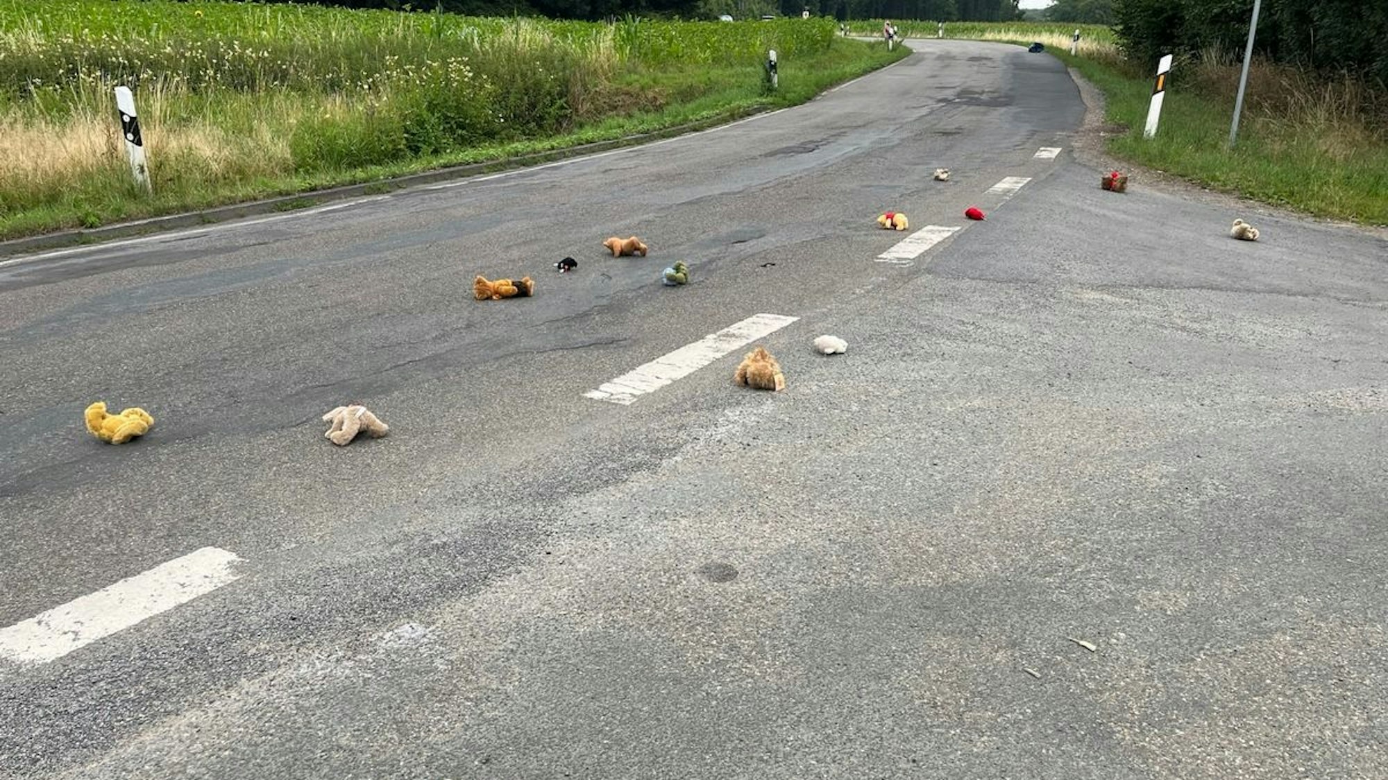 POL-COE: Olfen, Waltroper Straße/Kuscheltiere auf der Fahrbahn, Besitzer gesucht