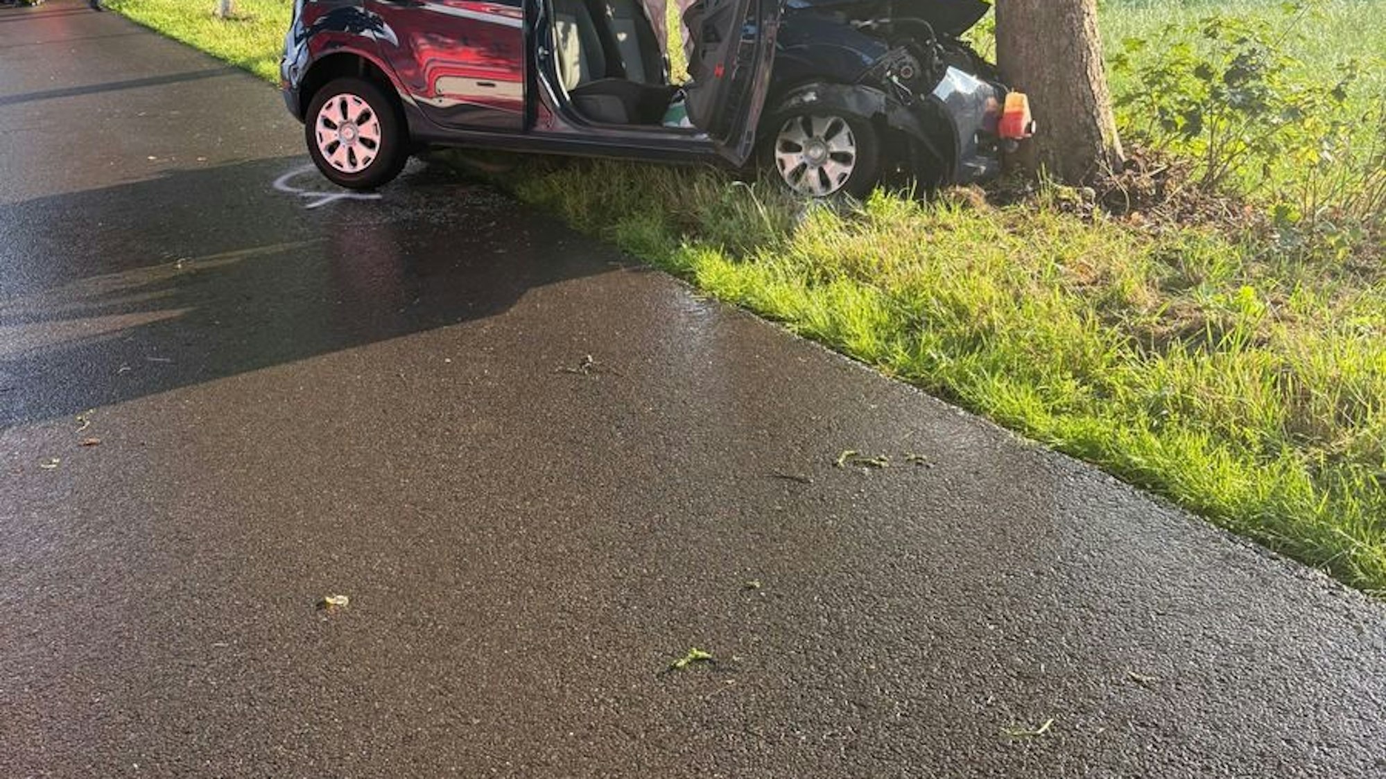 Ein verunfallter Ford Fiesta steht neben einem Baum.