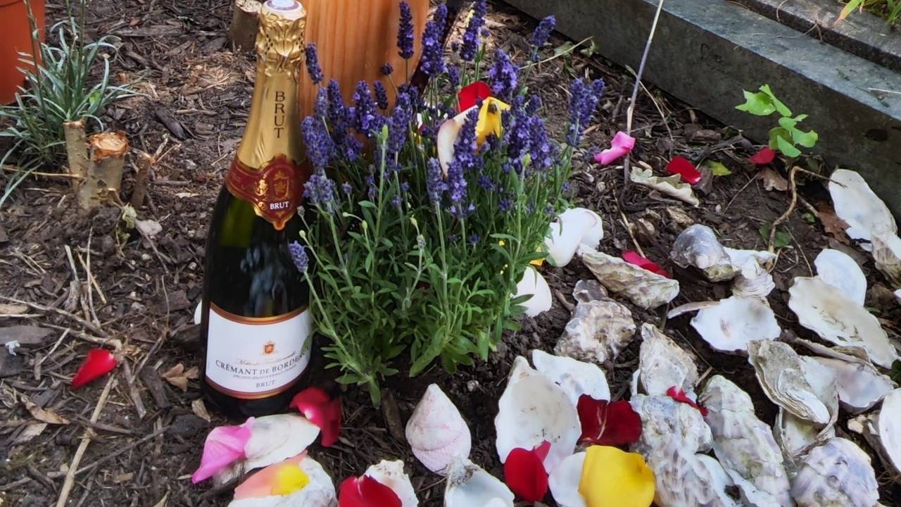Vor einem Grabkreuz steht eine Flasche Crémant, liegen mehrere Austernschalen.