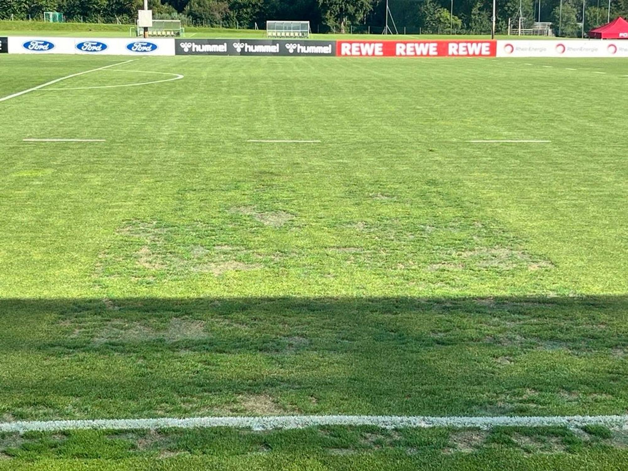 Der Rasen in Bad Waltersdorf hat viele Löcher.