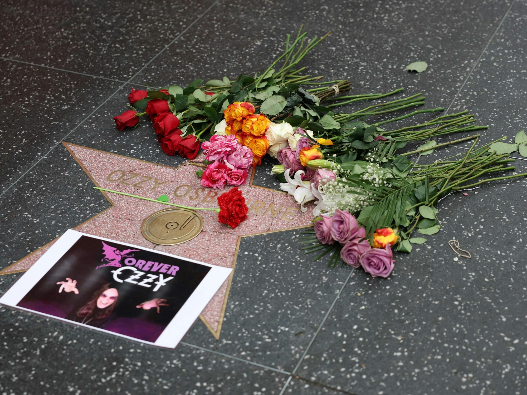 An einem Stern auf dem Boden mit dem Namen von Ozzy Osbourne liegen mehrere Blumen.
