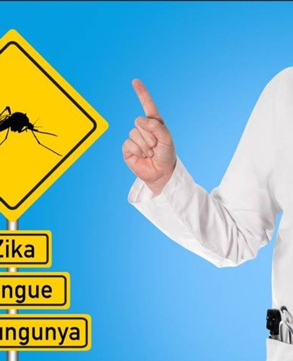 Unter einem Warnschild sind die Aufschriften Zika, Dengue und Chikungunya zu lesen.