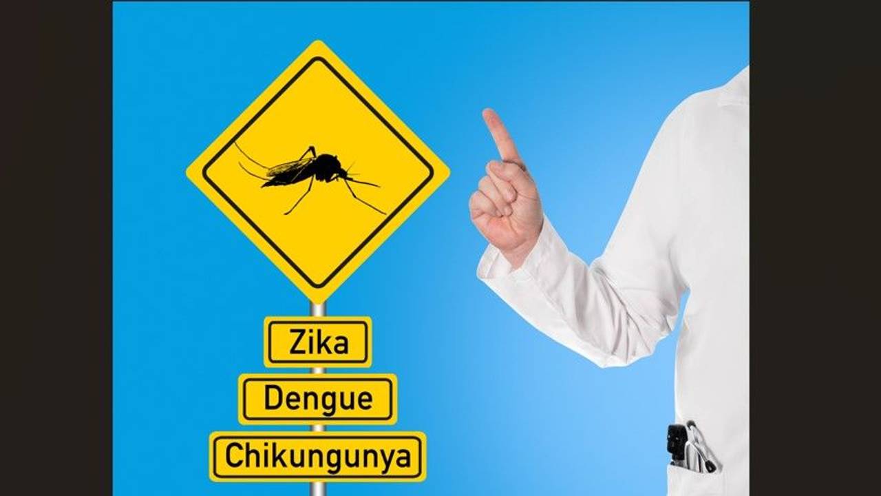 Unter einem Warnschild sind die Aufschriften Zika, Dengue und Chikungunya zu lesen.