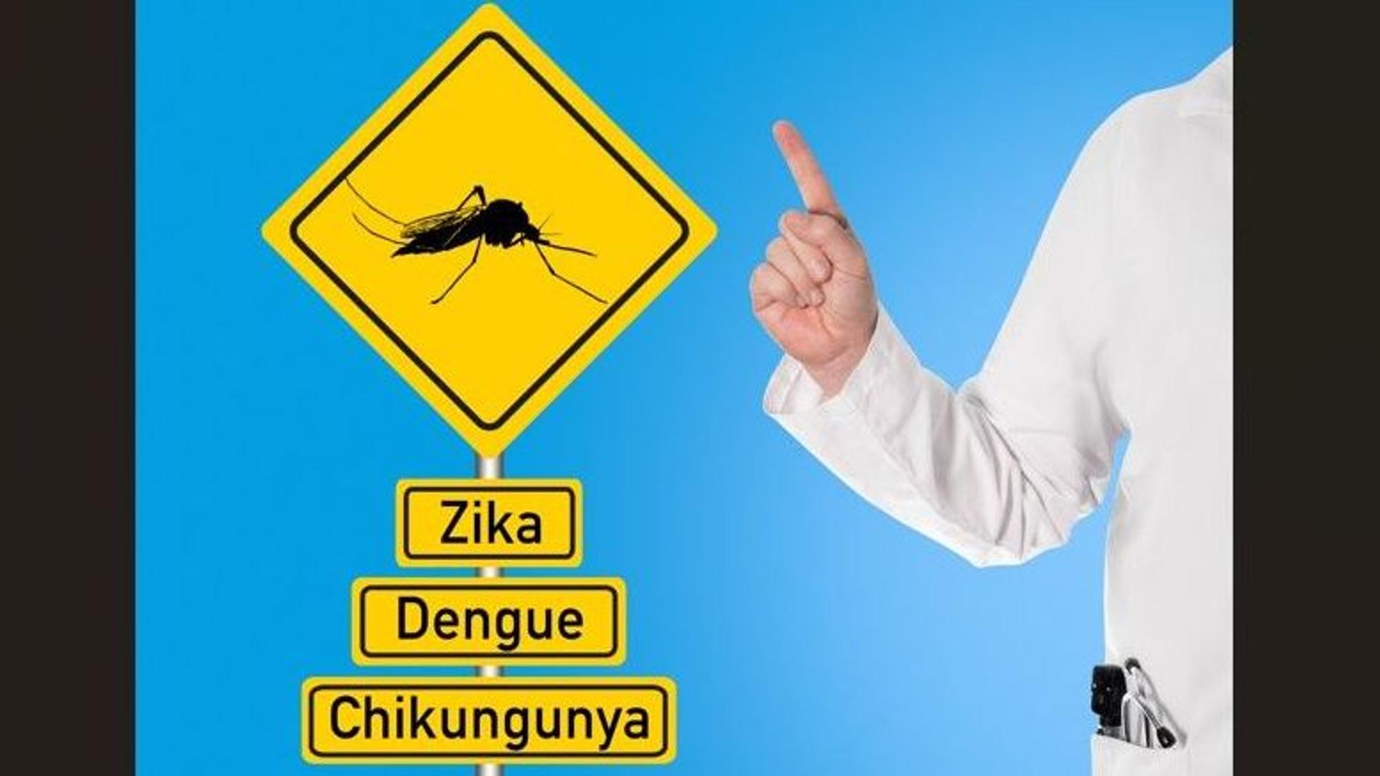 Unter einem Warnschild sind die Aufschriften Zika, Dengue und Chikungunya zu lesen.