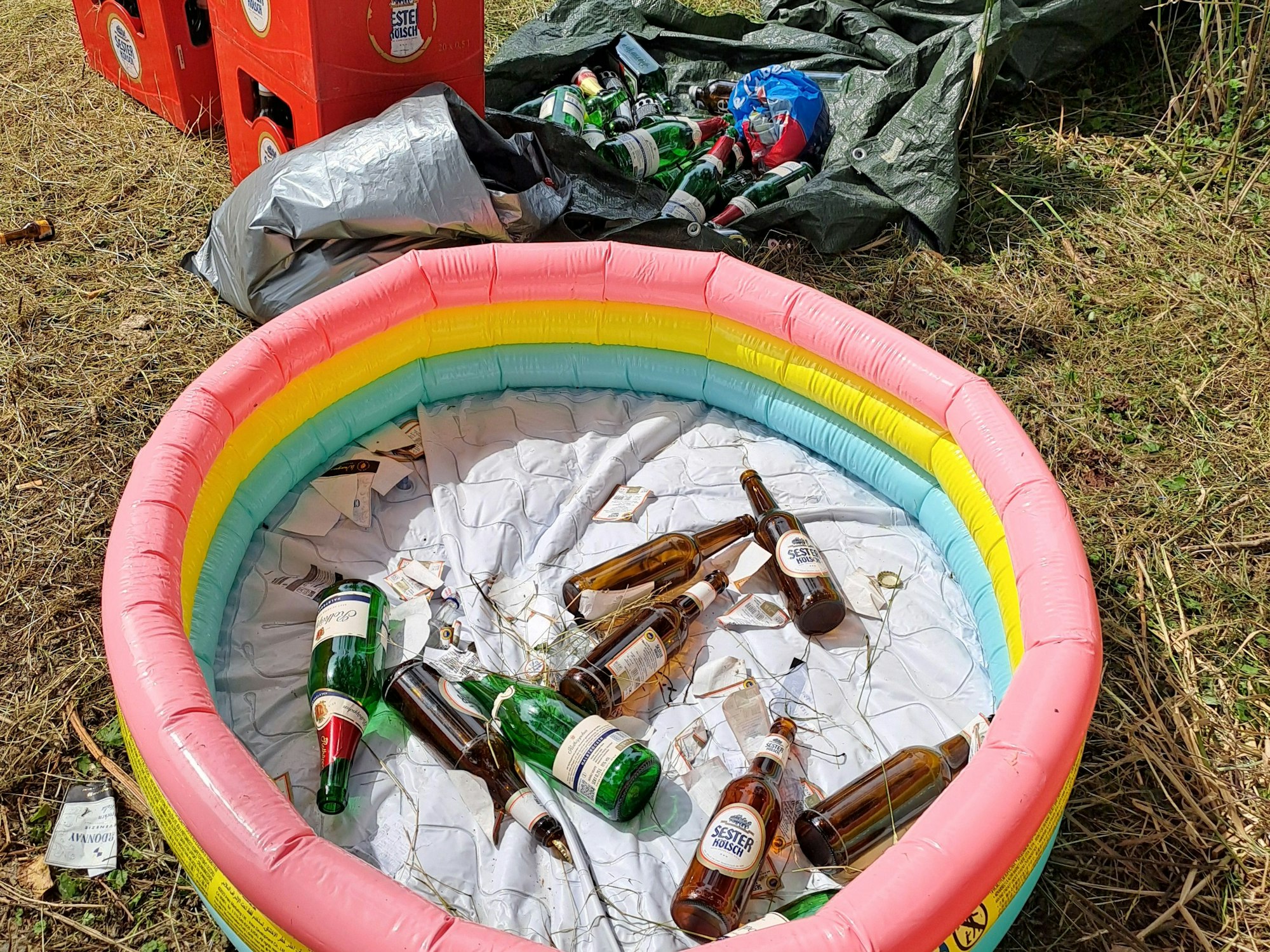 In einem Plastik-Pool liegen leere Flaschen.