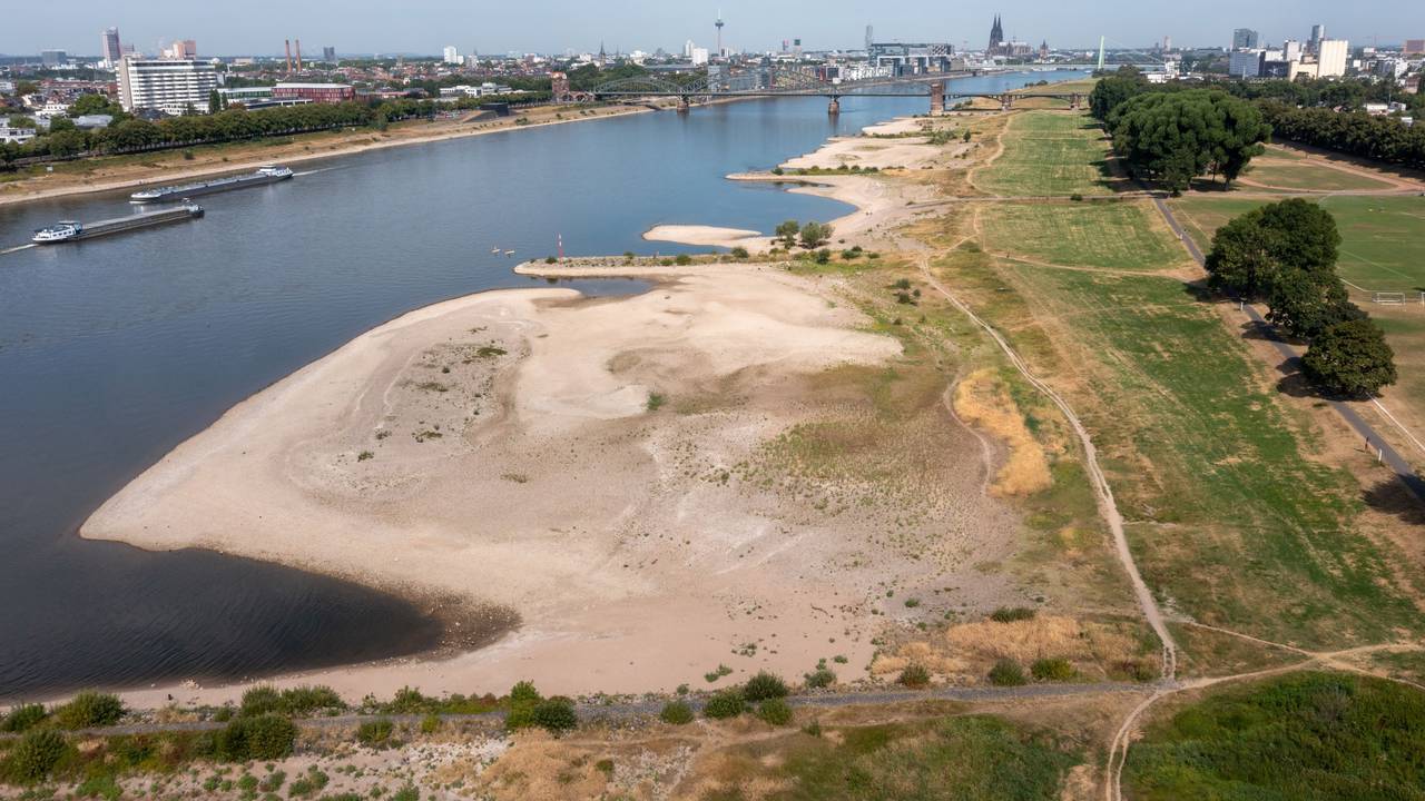 Auch der Rhein hatte schon Niedrigwasser, wie diese großen Sandbänke bei den Poller Wiesen im Jahr 2022 zeigen. Zum Zeitpunkt der Aufnahme lag der Wasserstand am Kölner Pegel bei 1,03m.