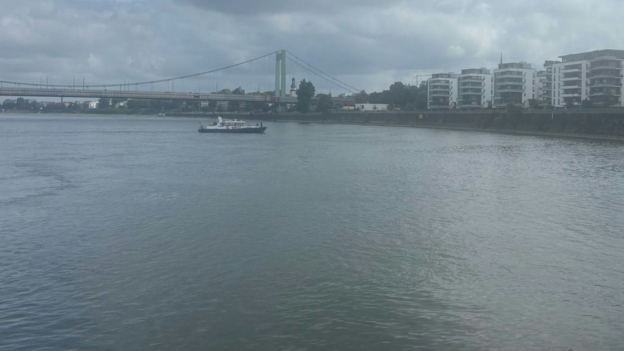 Hündin Esa schwimmt im Wasser, ein Polizeiboot ist in der Nähe.