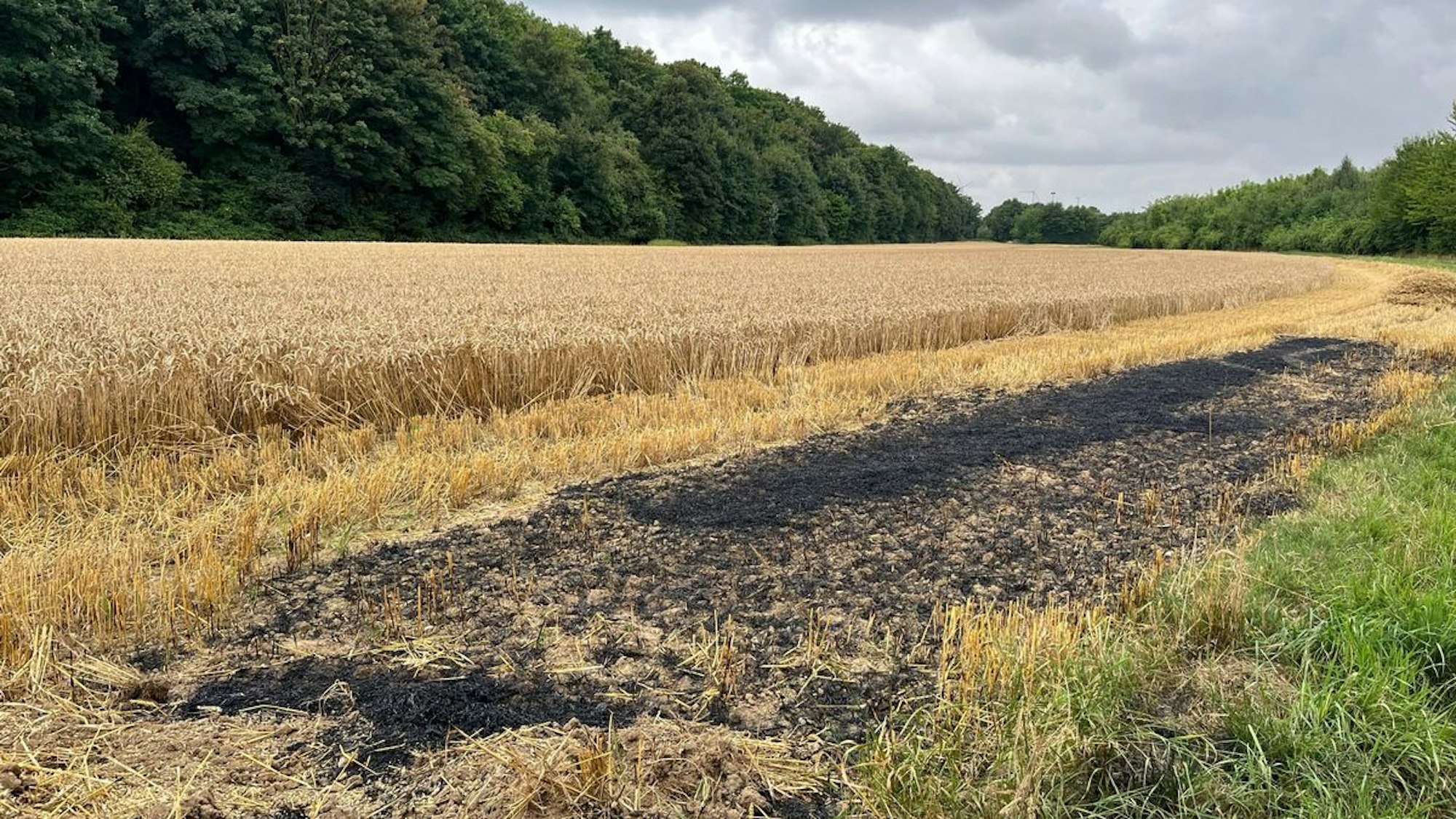 Ein brennendes Feld in Grevenbroich-Neuenhausen.