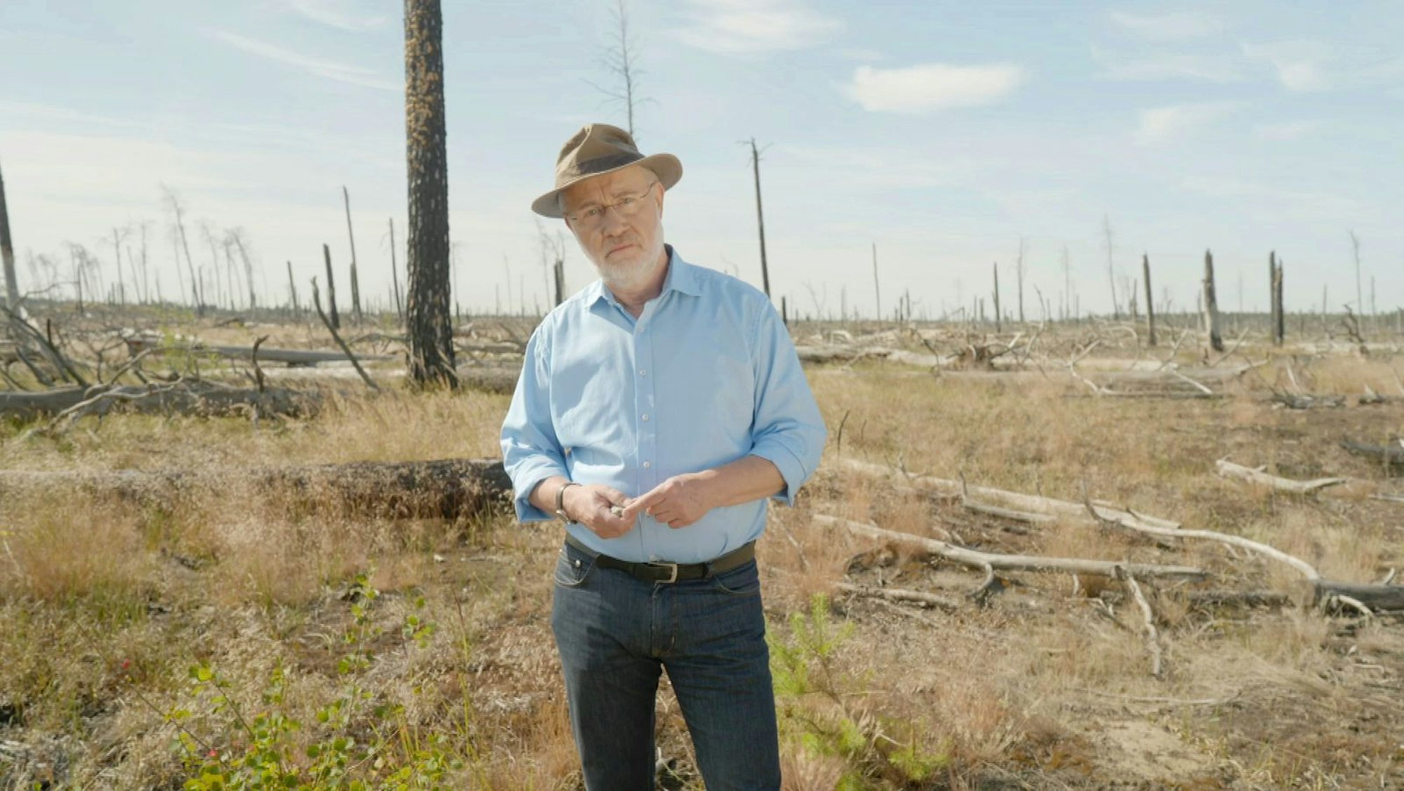 Harald Lesch wird beim Anblick der vertrockneten Wiese im Forst Zinna-Jüterbog-Keilberg ganz anders: „So stellt man sich die Apokalypse vor“. (Bild: ZDF/ Lars Opitz)