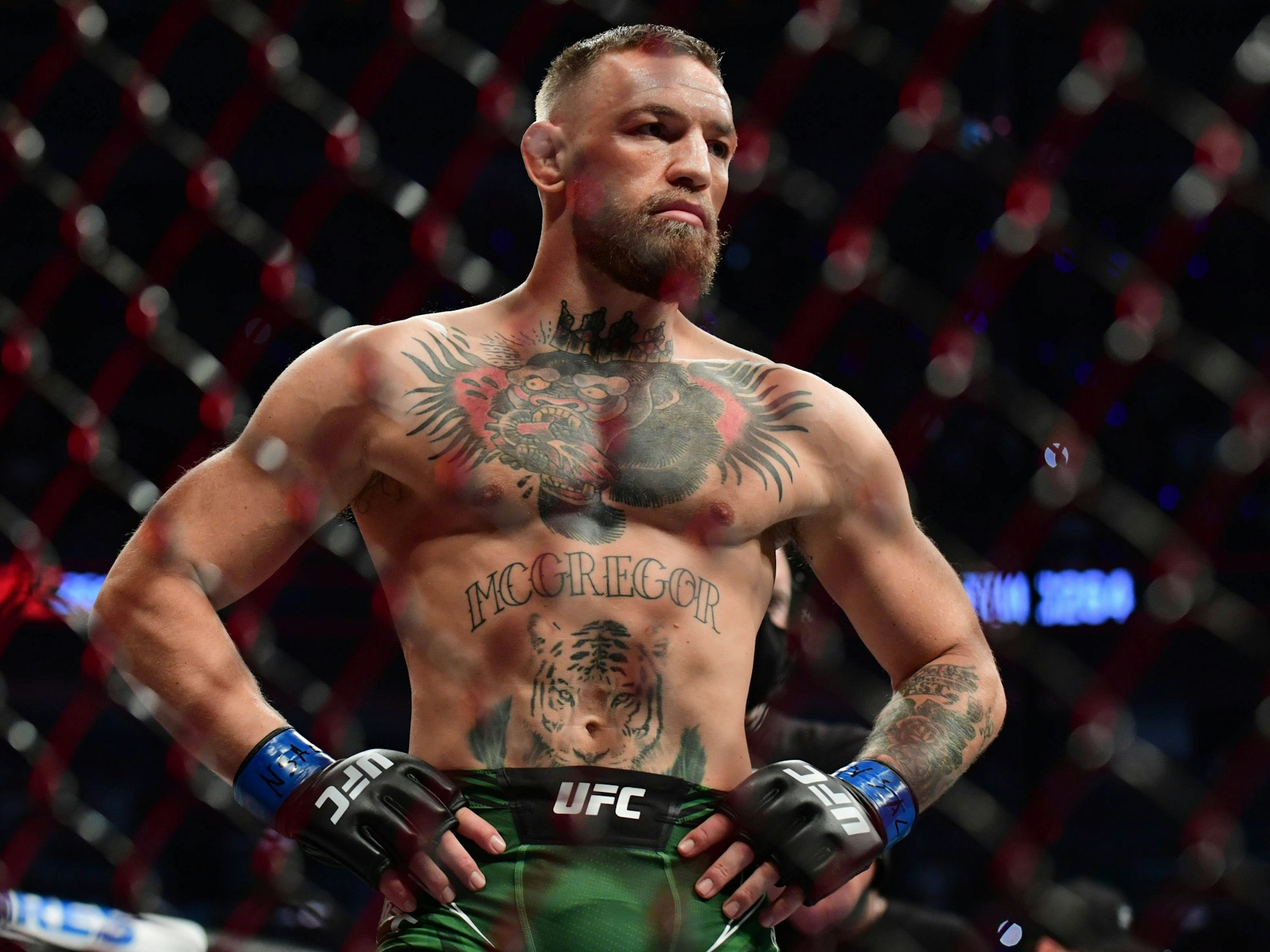 Conor McGregor stemmt die Hände in die Hüfte.