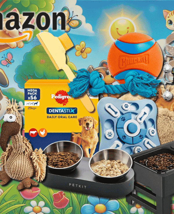 Vor einem fröhlichen Cartoon-Hintergrund mit Hunden und Katzen sind verschiedene Tierprodukte wie Spielzeug, Näpfe, Snacks und Zubehör prominent platziert.