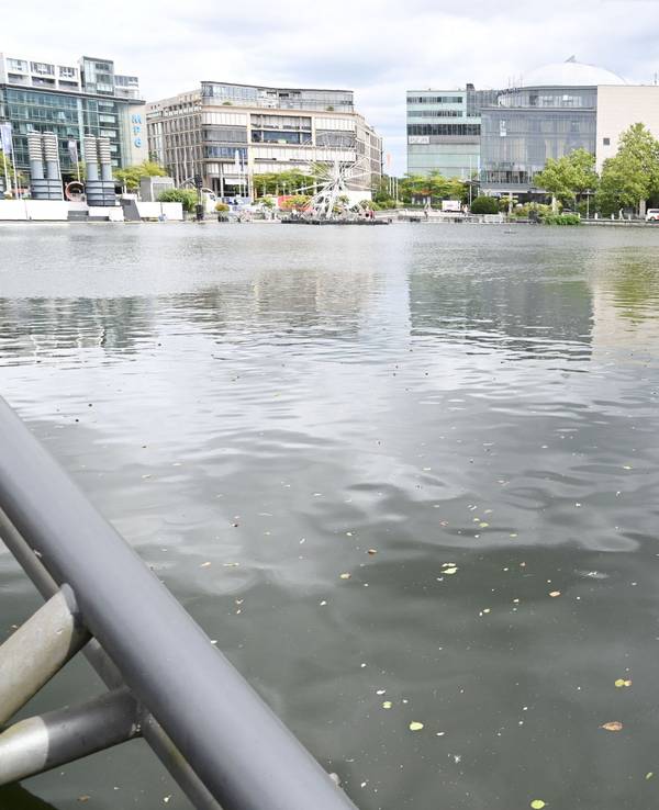 Der Weiher am Mediapark.