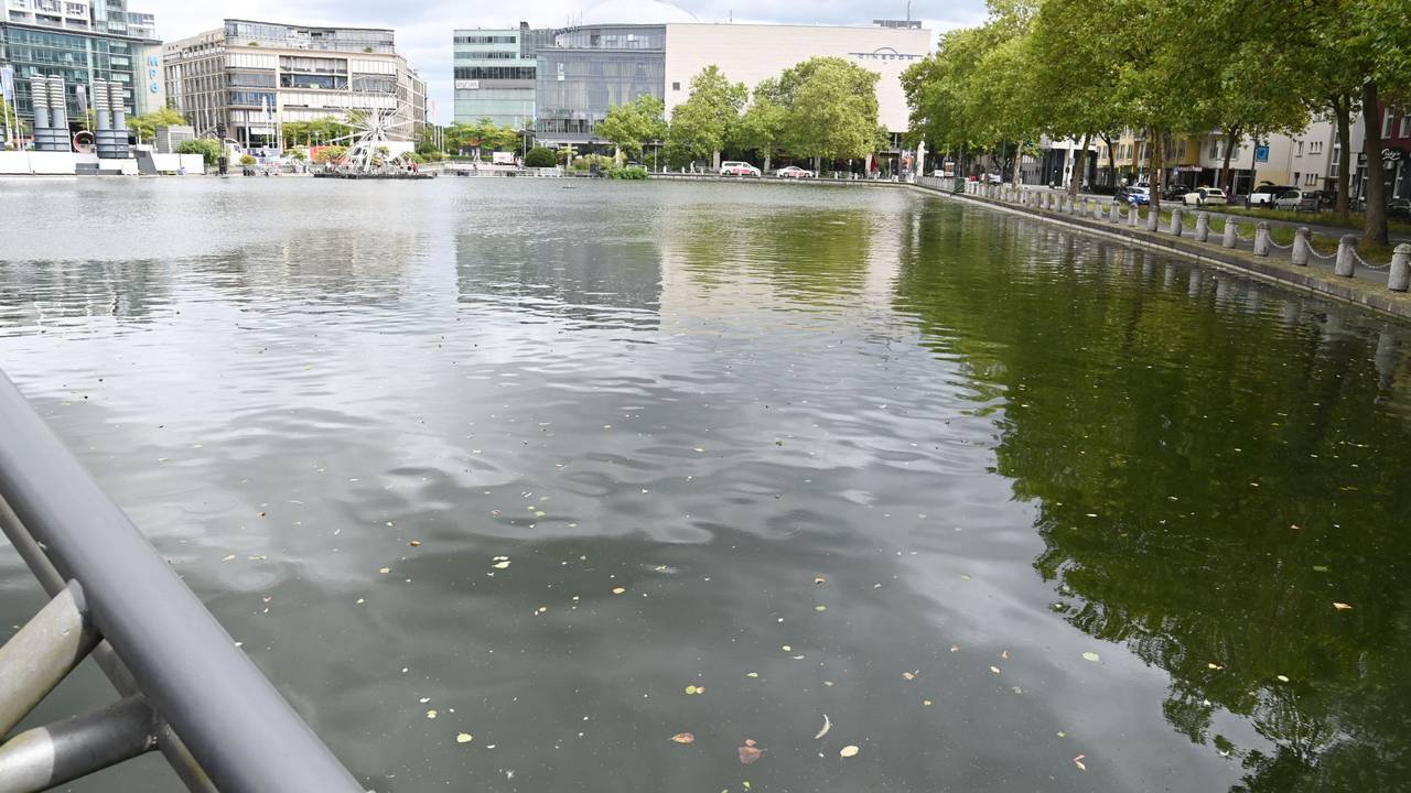 Der Weiher am Mediapark.