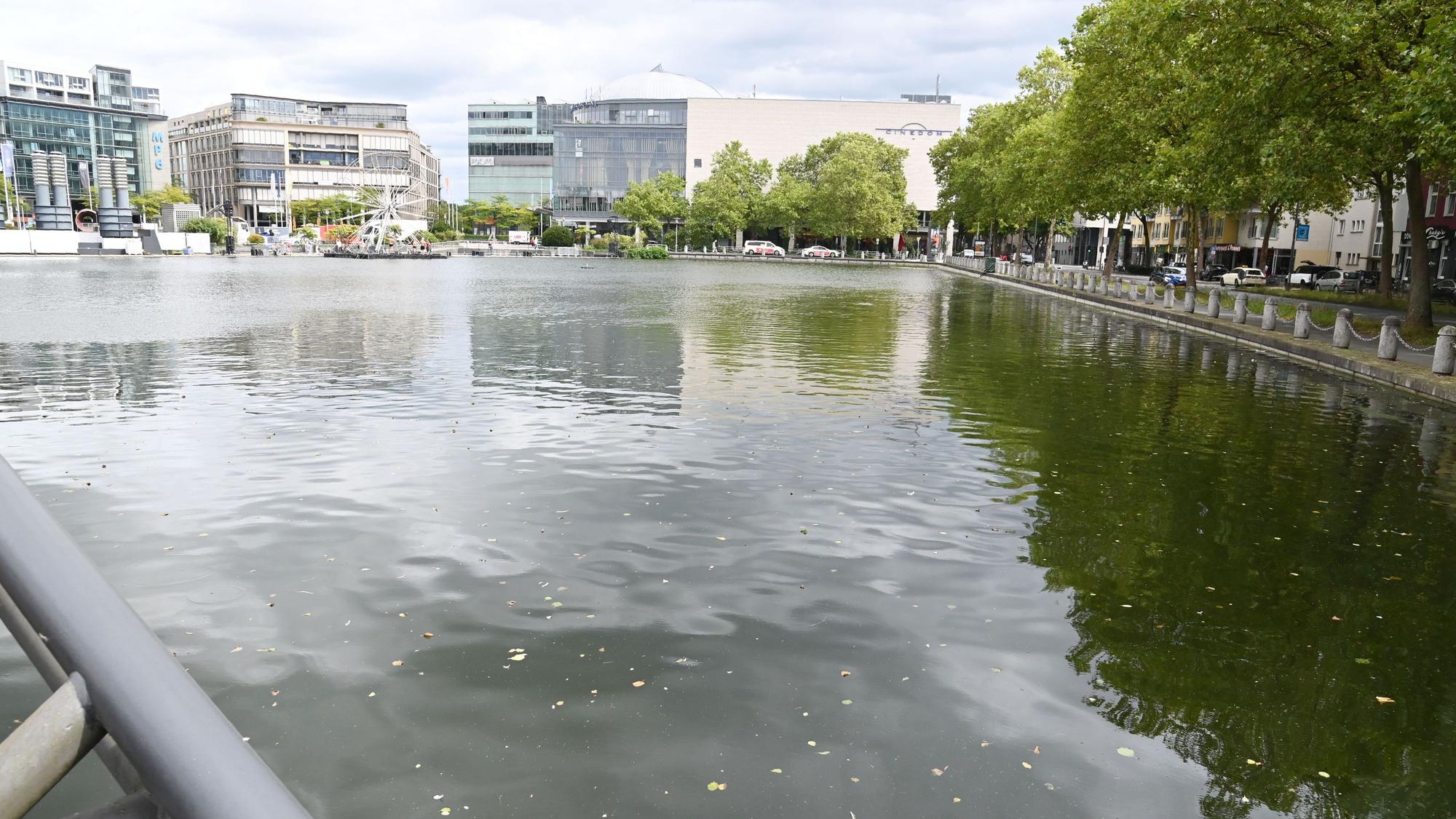 Der Weiher am Mediapark.