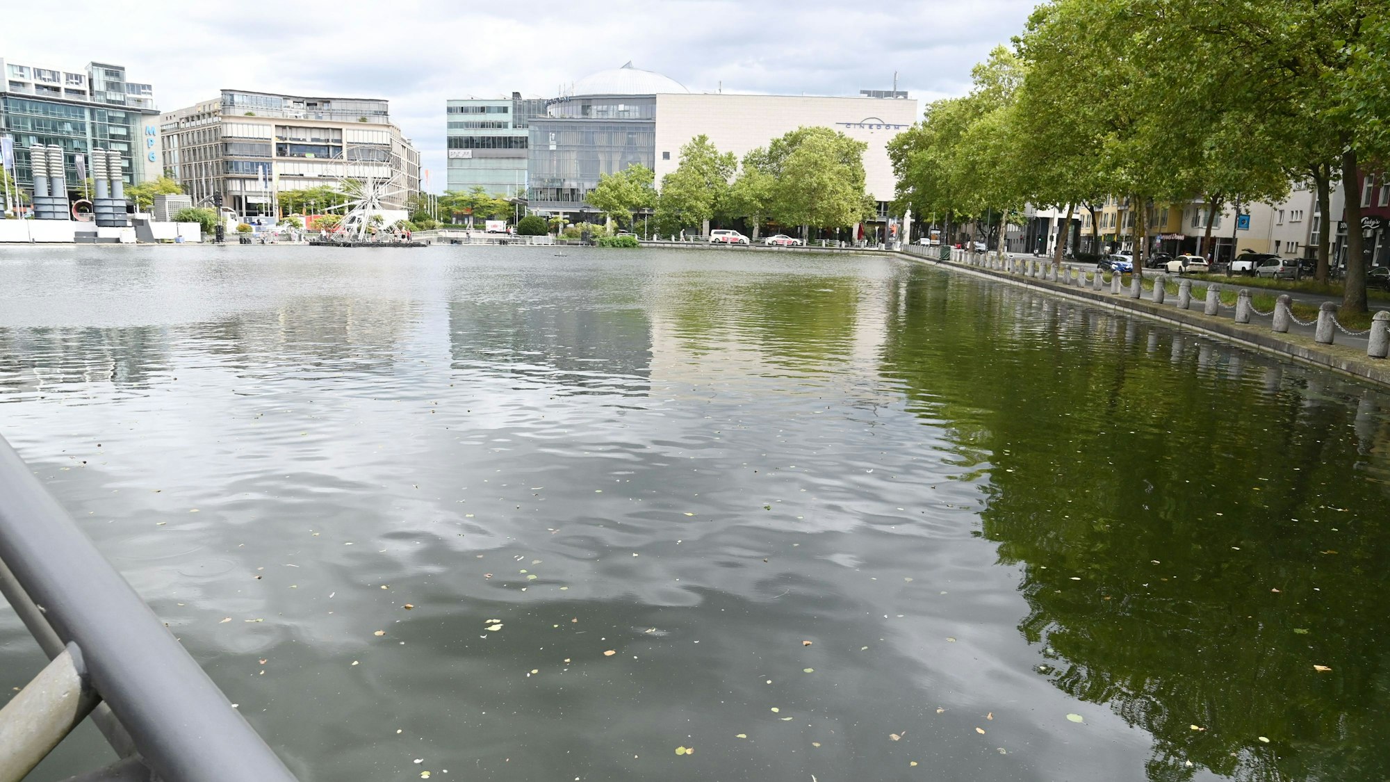 Der Weiher am Mediapark.