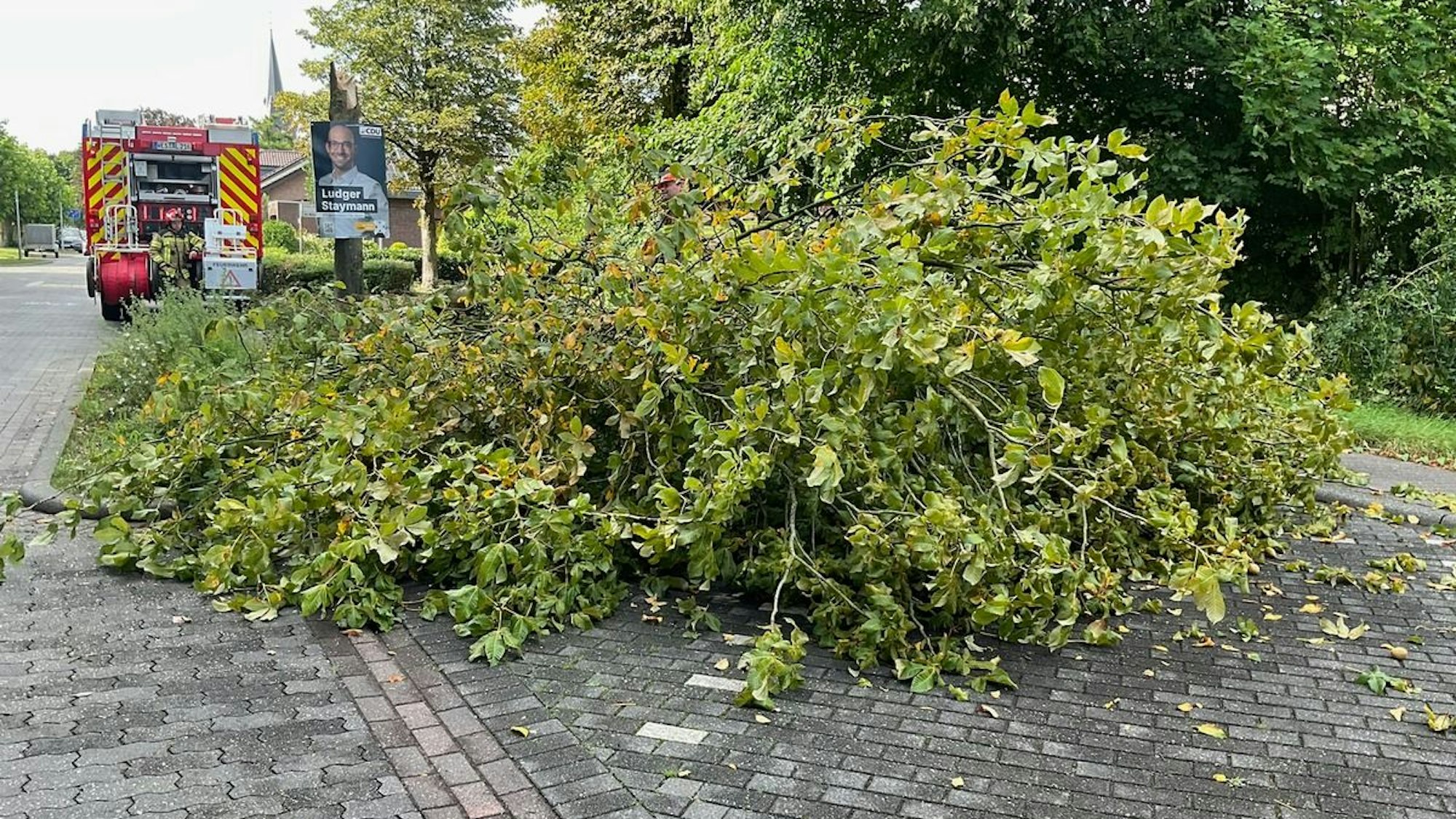 FW Alpen: umgestürzter Baum auf Gehweg