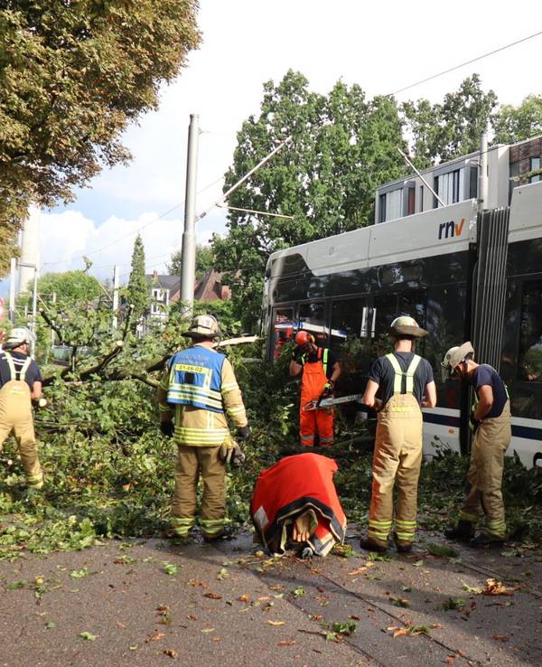 Einsatzkräfte der Feuerwehr entfernen einen Ast von einer Straßenbahn. Vermutlich wegen eines starken Gewitters mit Sturmböen ist ein Baum auf eine fahrende Straßenbahn in Mannheim gestürzt. Verletzt wurde nach Polizeiangaben niemand.