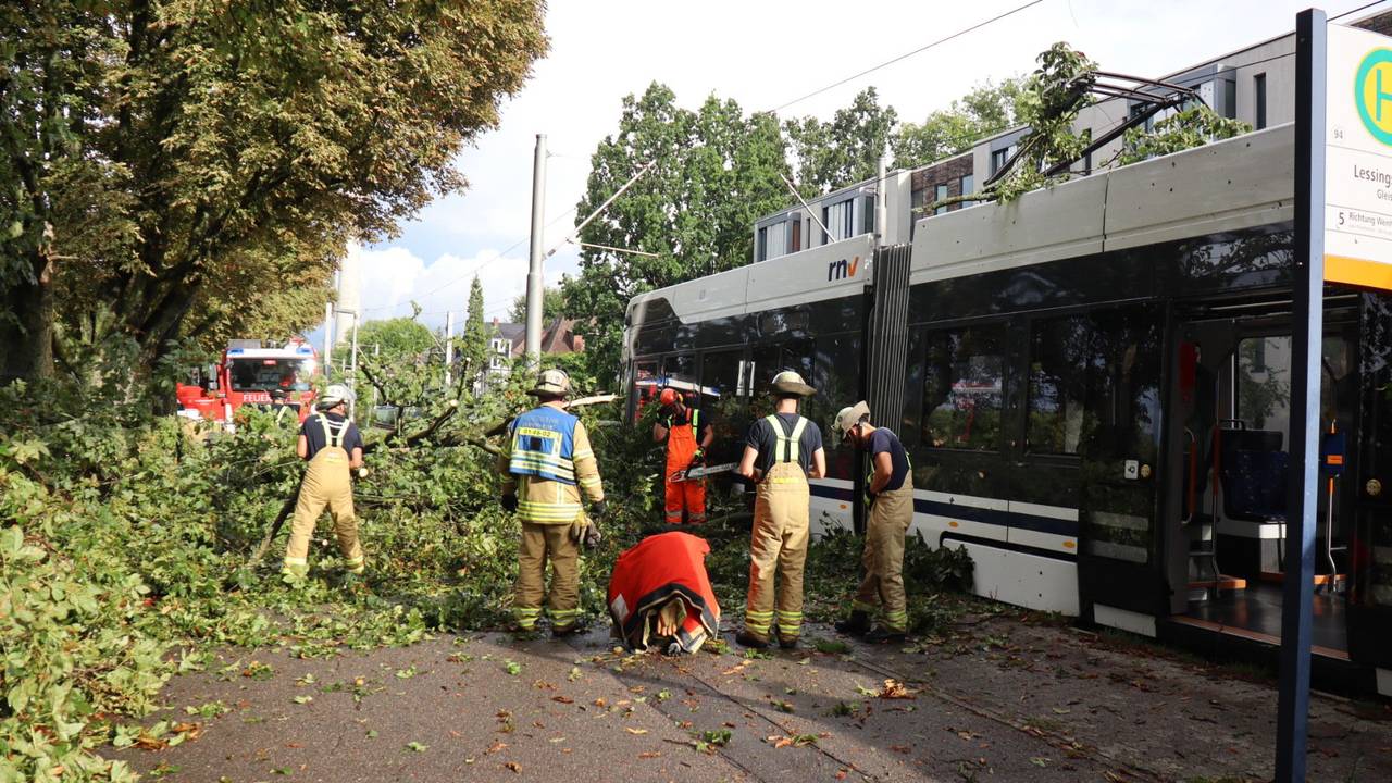 Einsatzkräfte der Feuerwehr entfernen einen Ast von einer Straßenbahn. Vermutlich wegen eines starken Gewitters mit Sturmböen ist ein Baum auf eine fahrende Straßenbahn in Mannheim gestürzt. Verletzt wurde nach Polizeiangaben niemand.