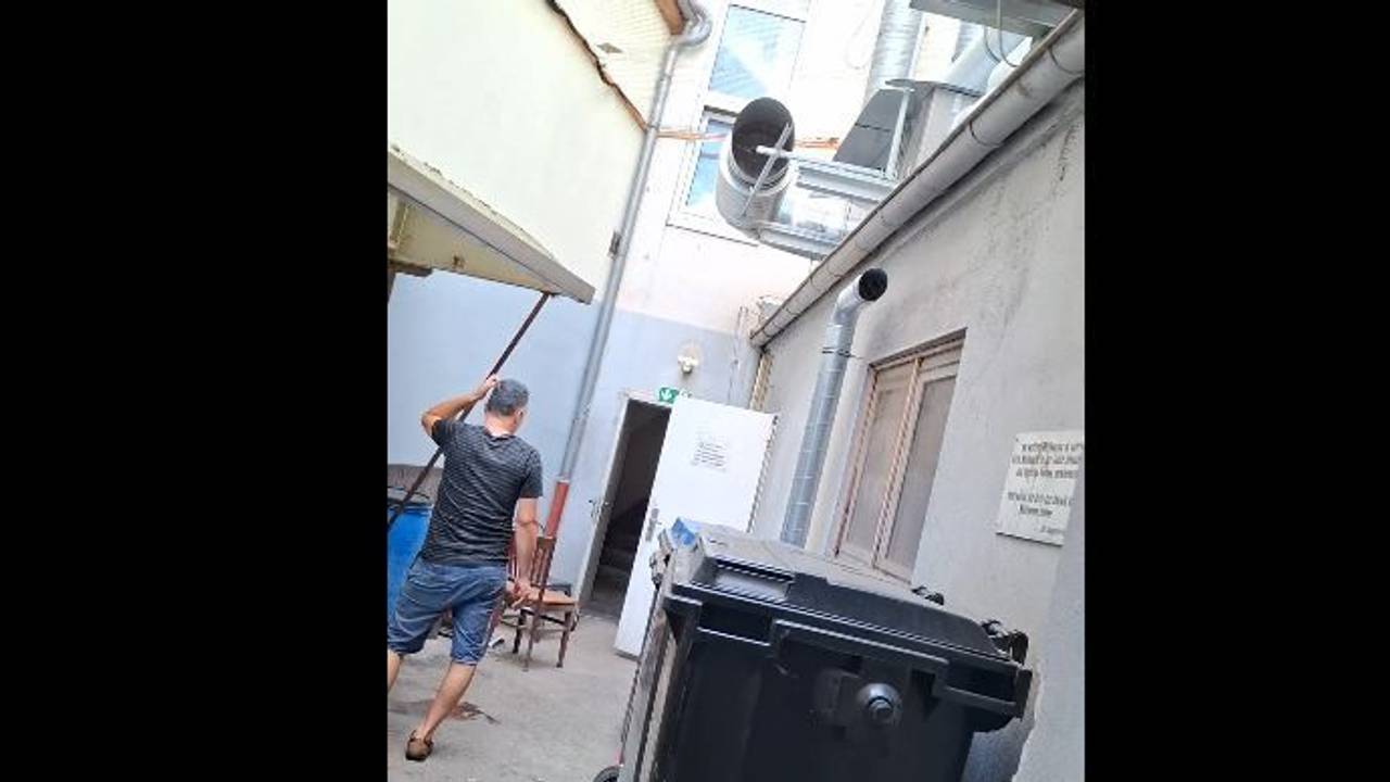 Der Hinterhof bei Anja H. im Zülpicher Viertel
