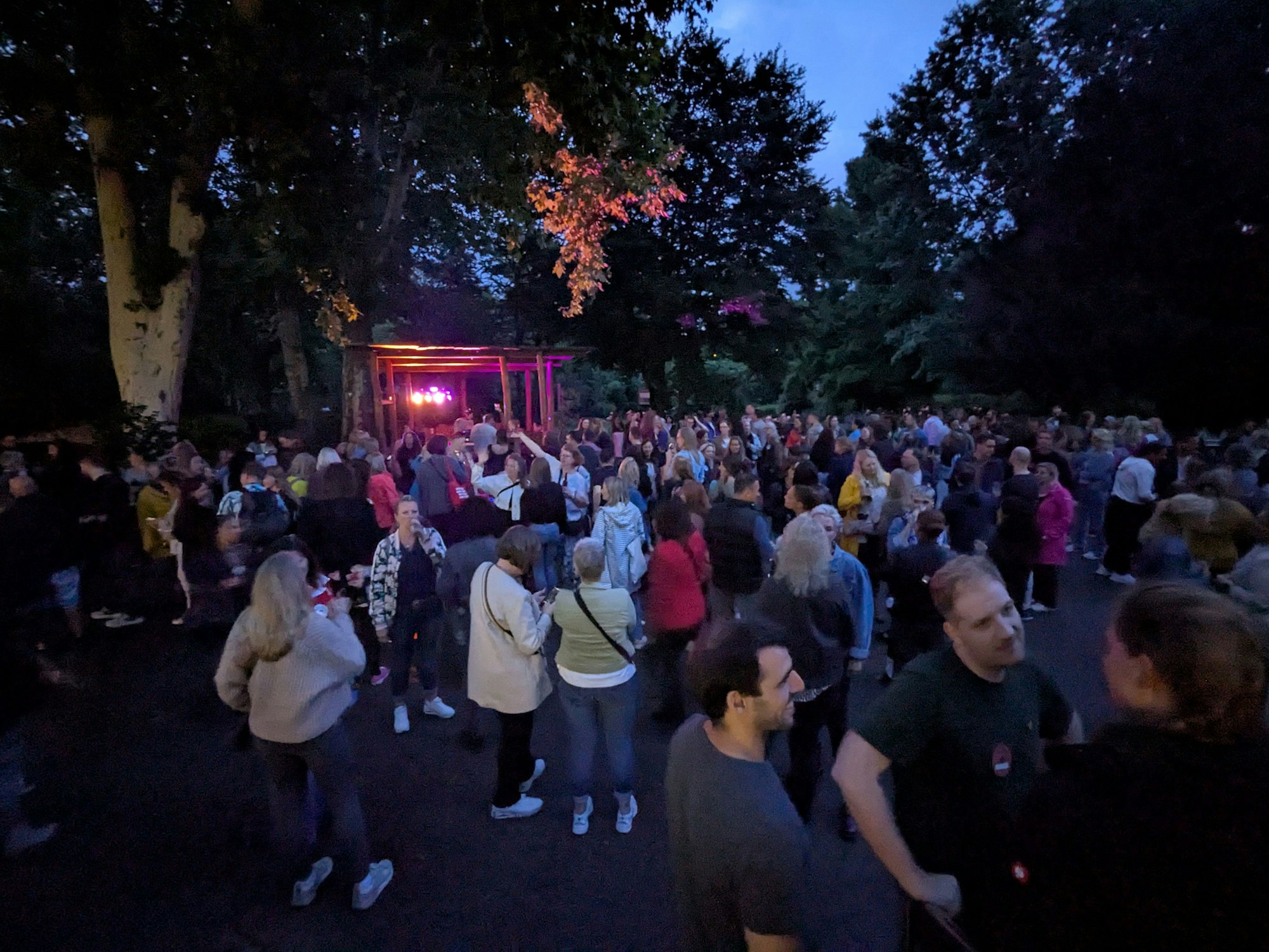 Neben dem Flamingogehege konnten sich die Singles auf der Tanzfläche näherkommen.