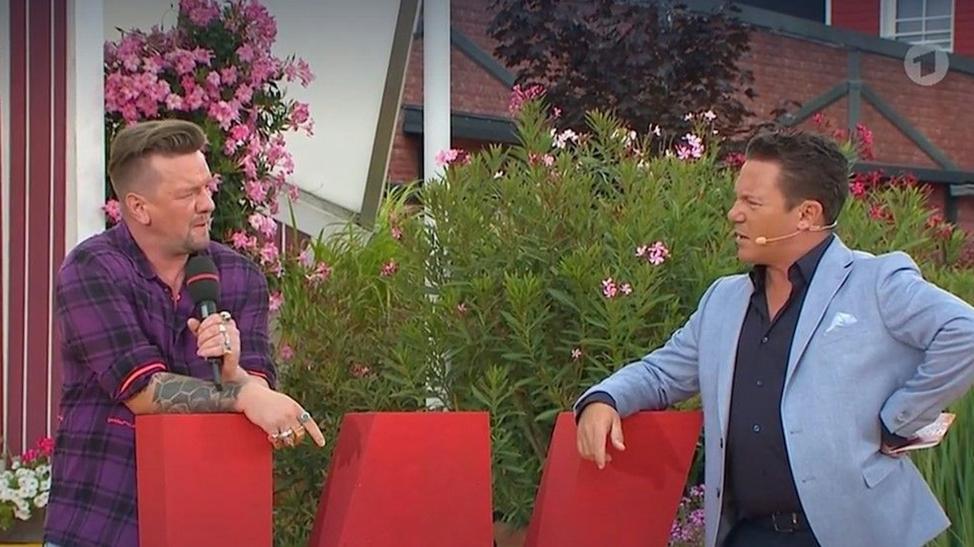 Ben Zucker und Stefan Mross plauderten bei „Immer wieder sonntags“ über Bücher und Musik.