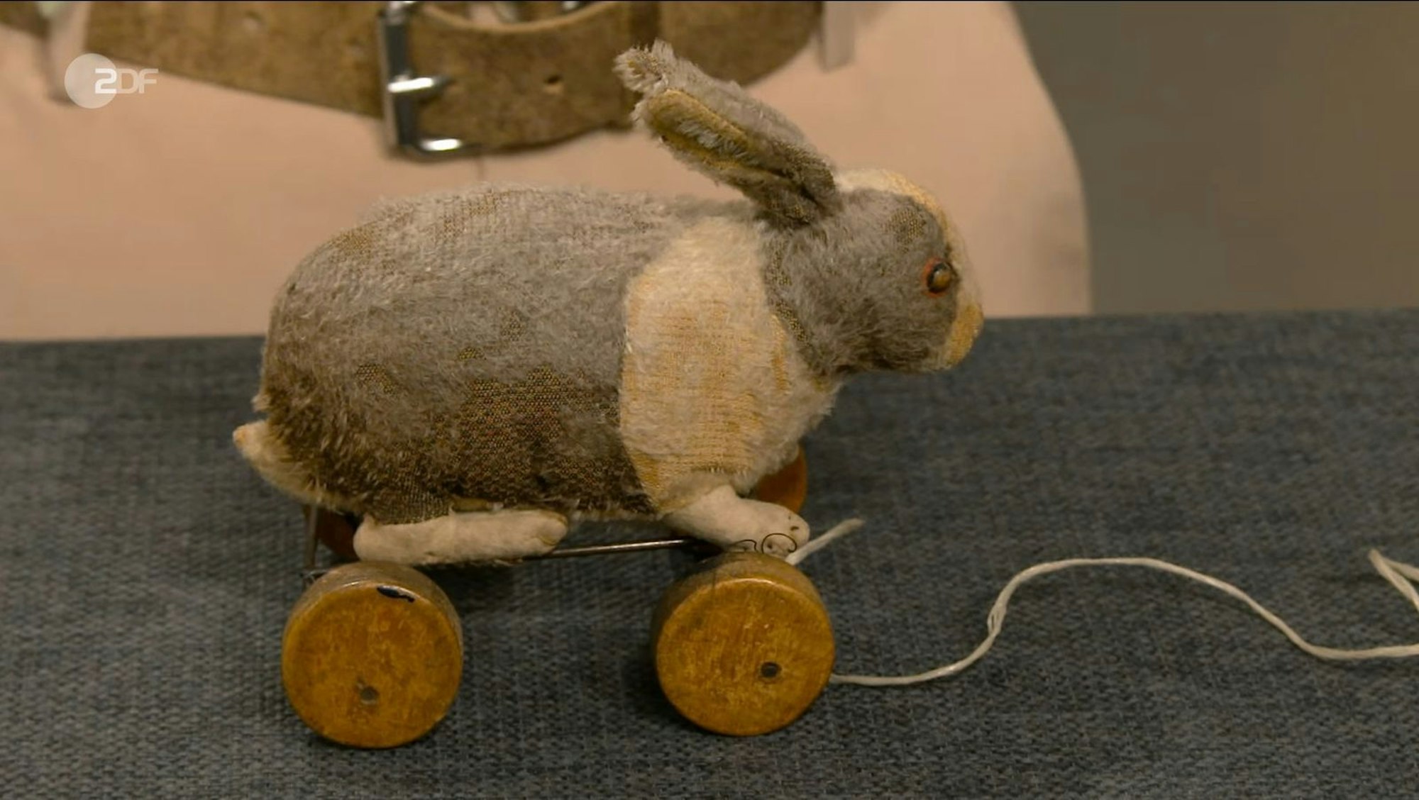 Das „Holländer Kaninchen“, wie es genannt wurde, stammte aus dem Besitz einer älteren Dame. (Bild: ZDF)