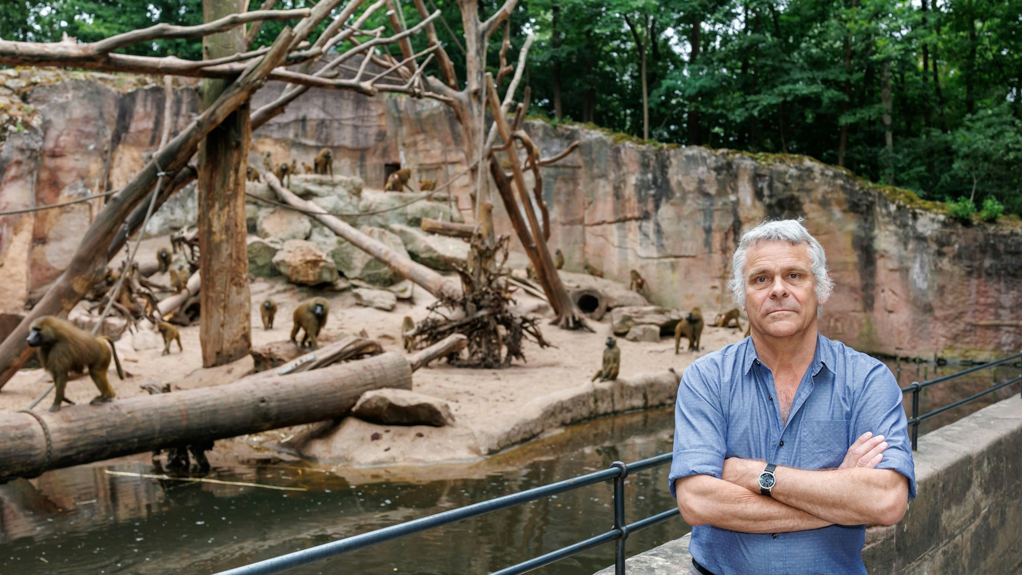 Dag Encke, Direktor des Tiergarten Nürnberg, steht an der Außenanlage der Paviane.
