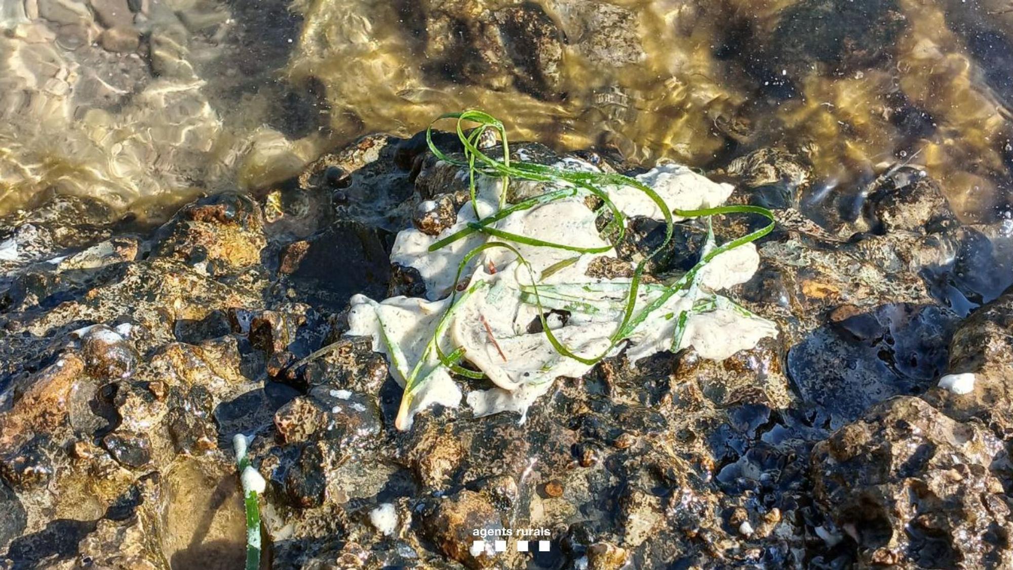 Weiße Substanz im Meer bei L'Ametlla de Mar.