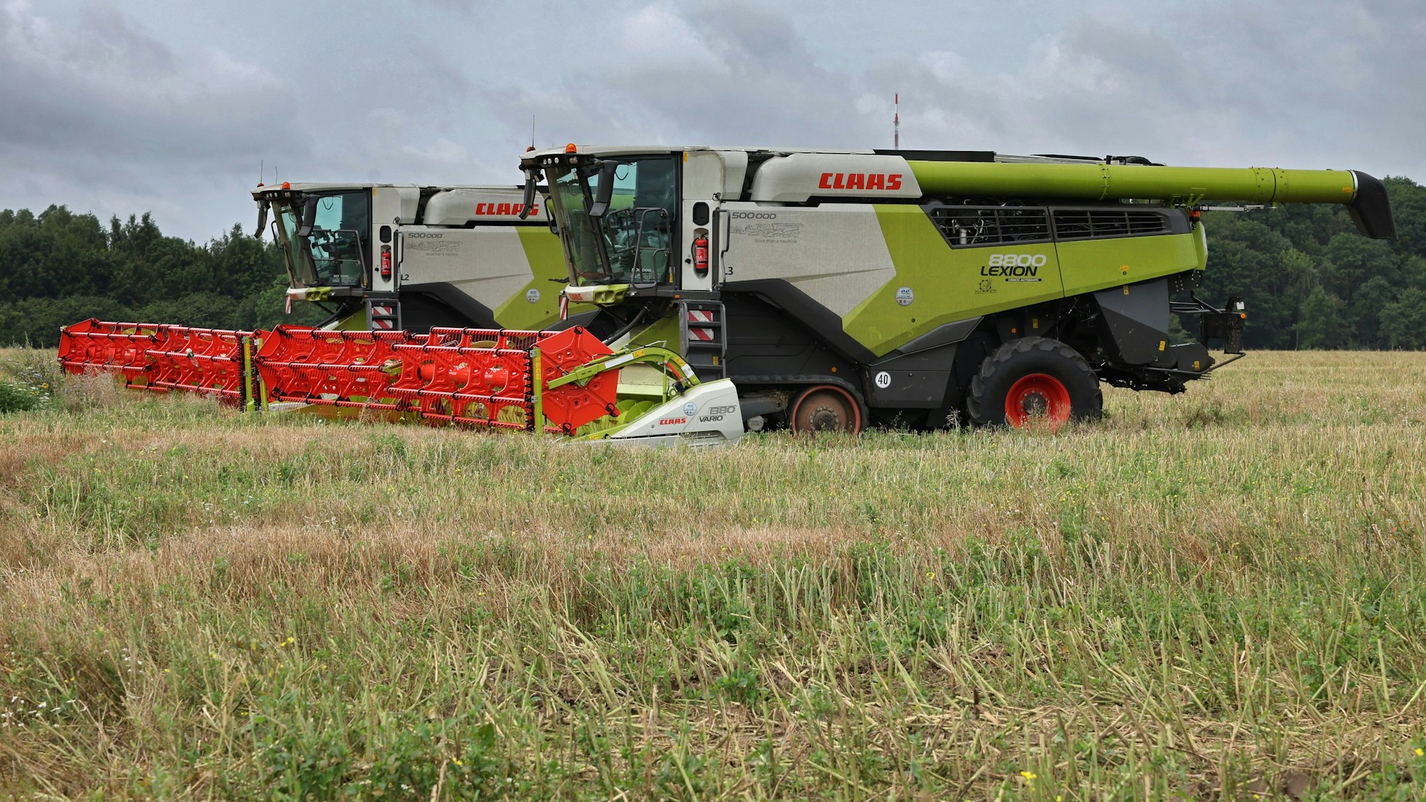 Ein Mähdrescher stehen auf einem abgeernteten Rapsfeld.