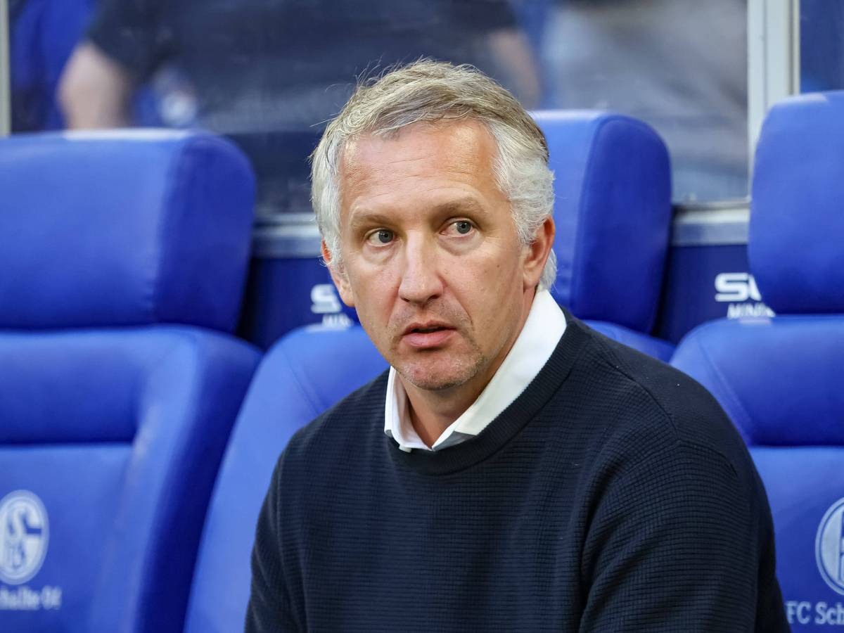 Frank Baumann sitzt bei Schalke 04 auf der Bank.