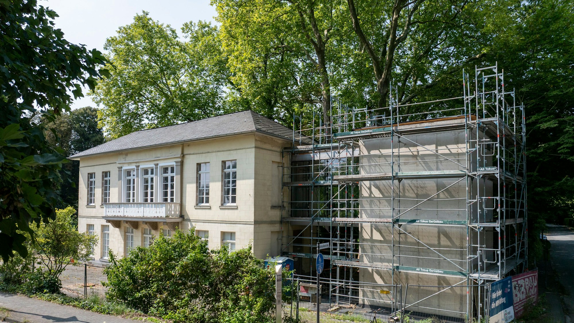 Hinter dem historischen Bahnhof Belvedere wächst eine Platane.