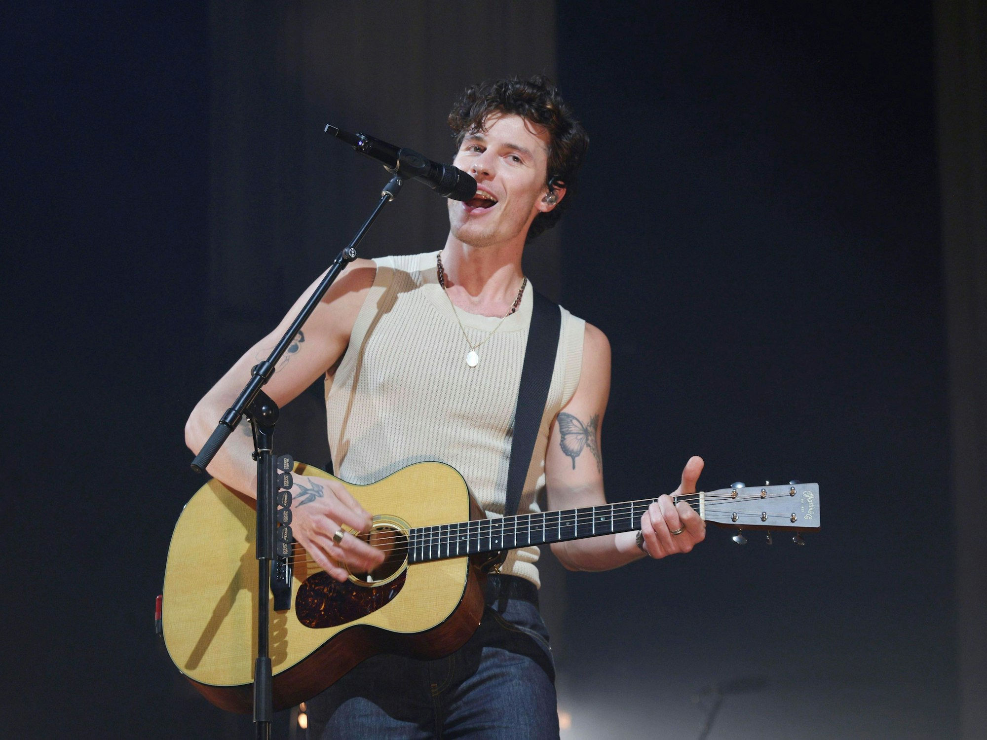 Shawn Mendes beim Konzert auf der Bühne.