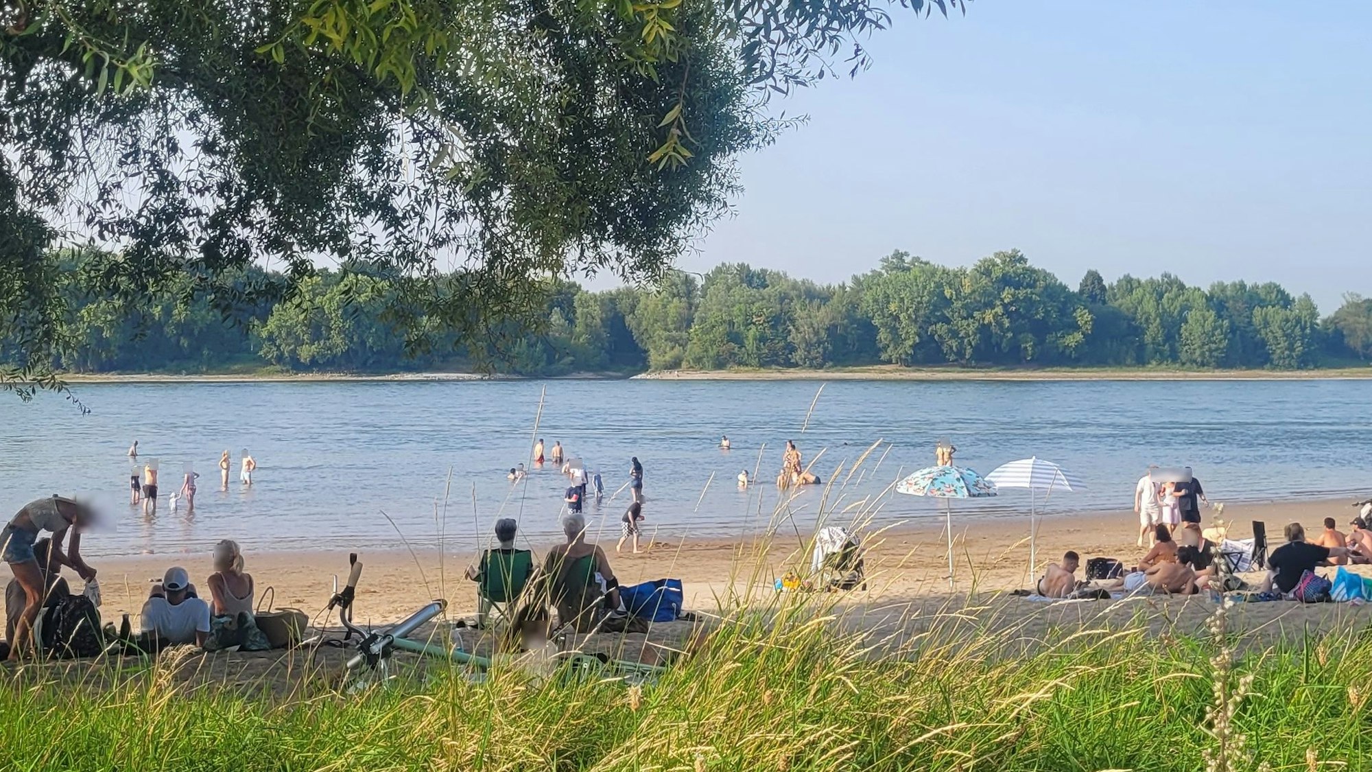 Menschen liegen am Strand, während andere im Rhein baden.