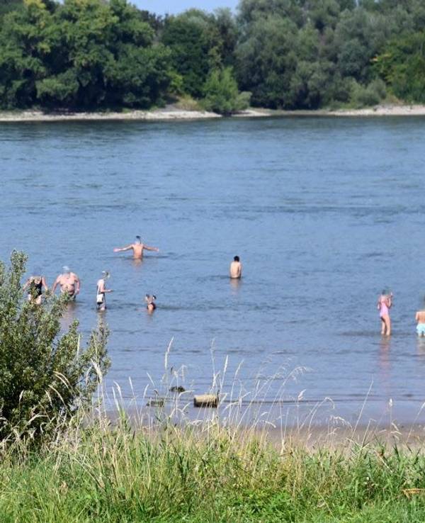 Menschen liegen am Strand, während andere im Rhein baden.