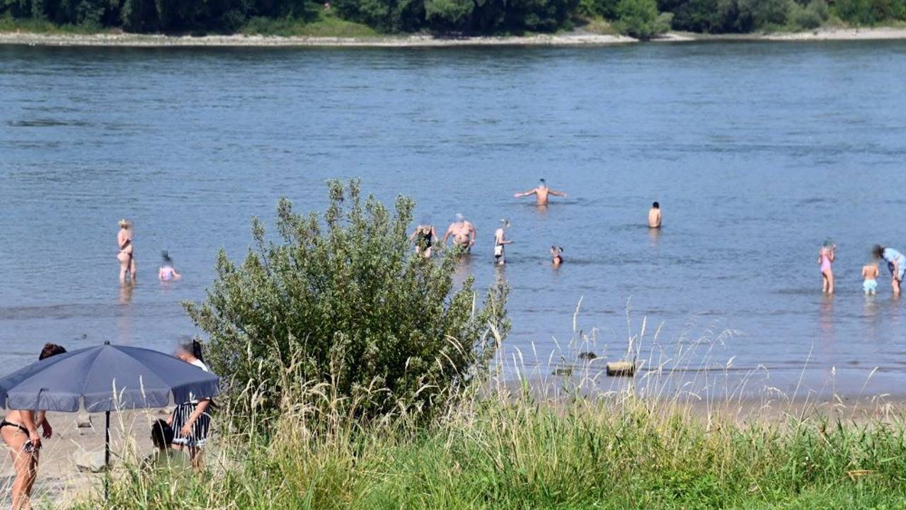 Menschen liegen am Strand, während andere im Rhein baden.