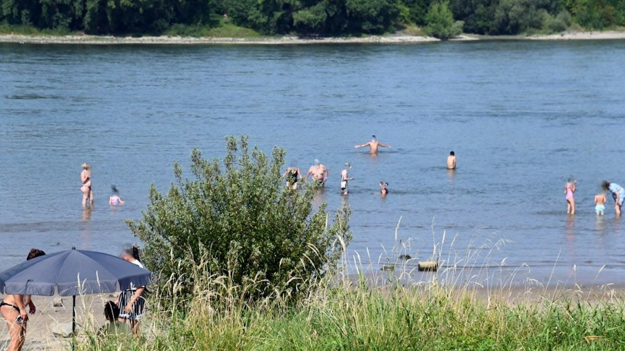 Menschen liegen am Strand, während andere im Rhein baden.